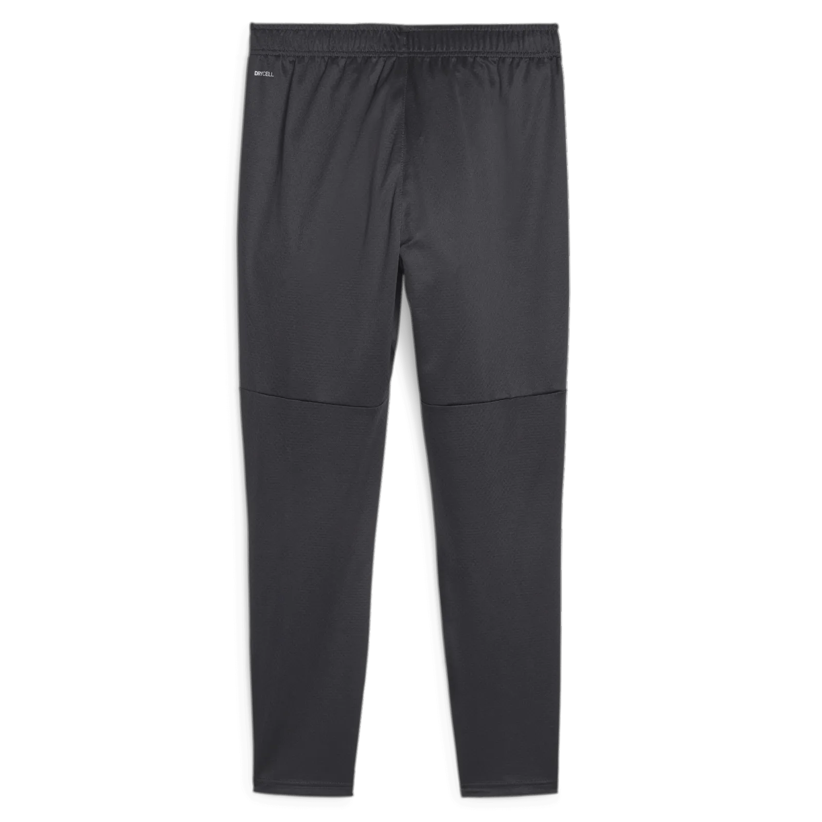 Puma 2023-24 Manchester City Men's Training Pants (Back)