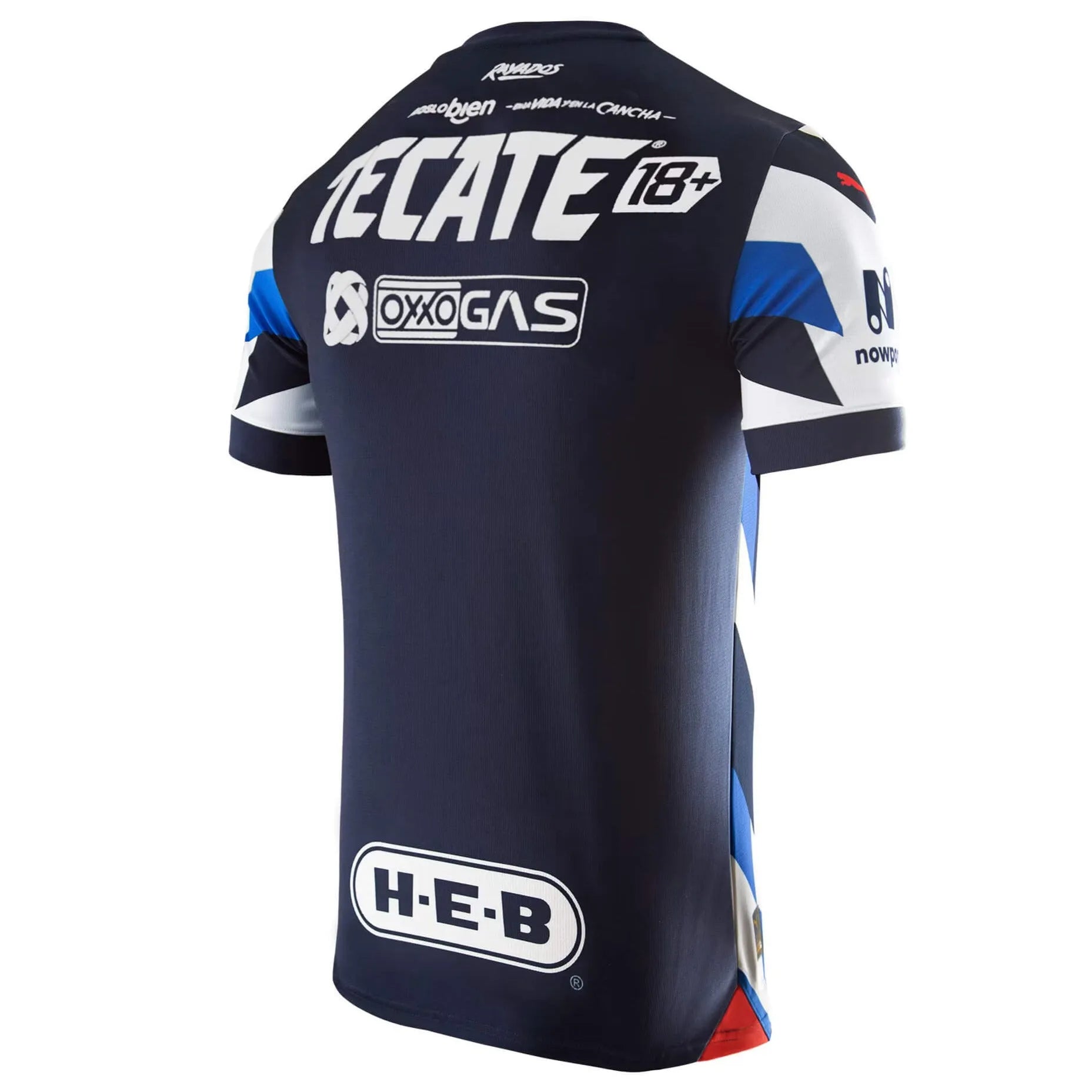 Puma 2023-24 Monterrey Men's Stadium Third Jersey (Lateral - Back)