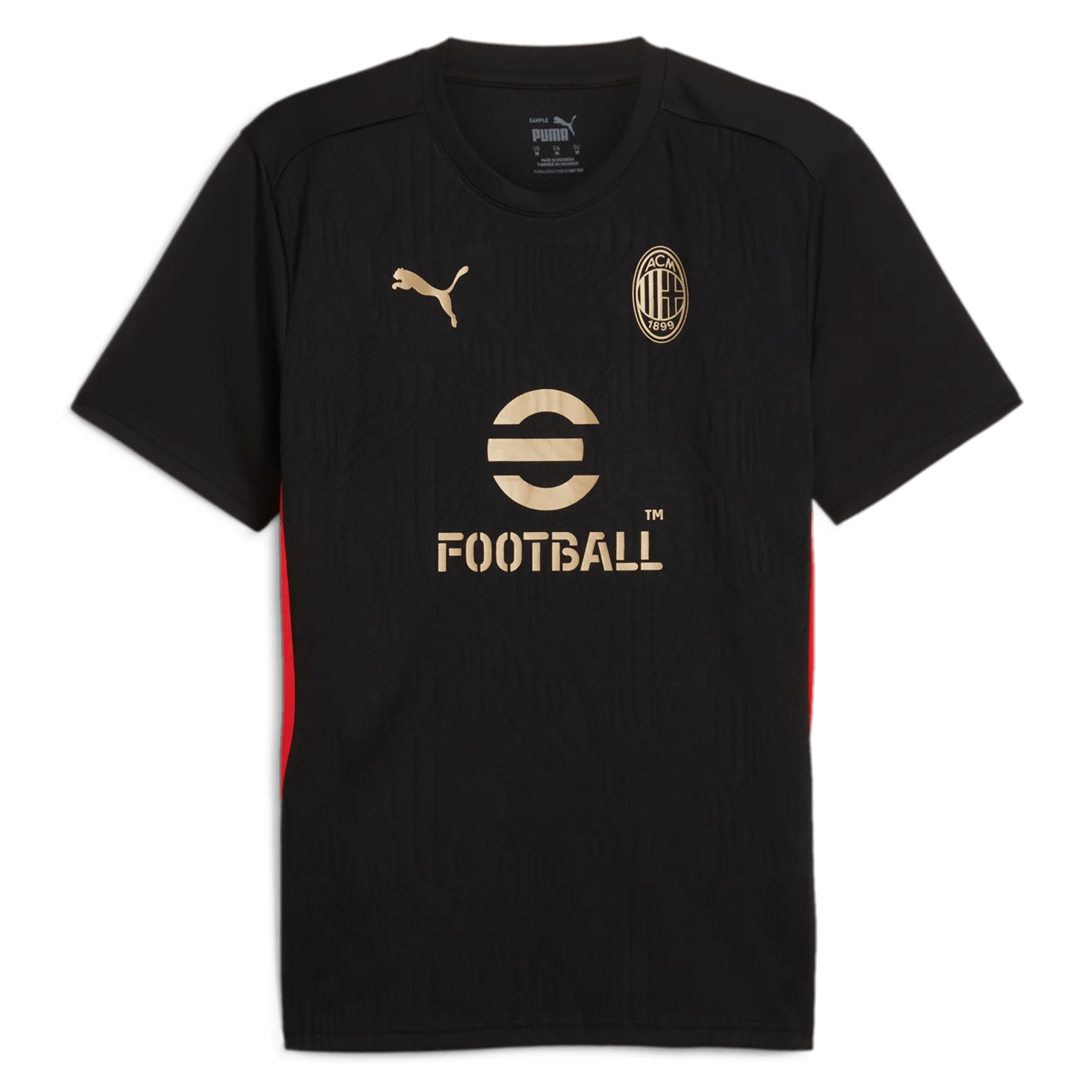 Puma 2024-25 AC Milan Men's Training Jersey