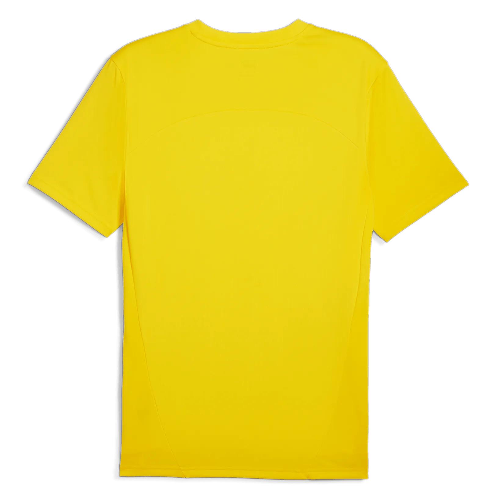 Puma 2024-25 Borussia Dortmund Men's Training Jersey (Back)