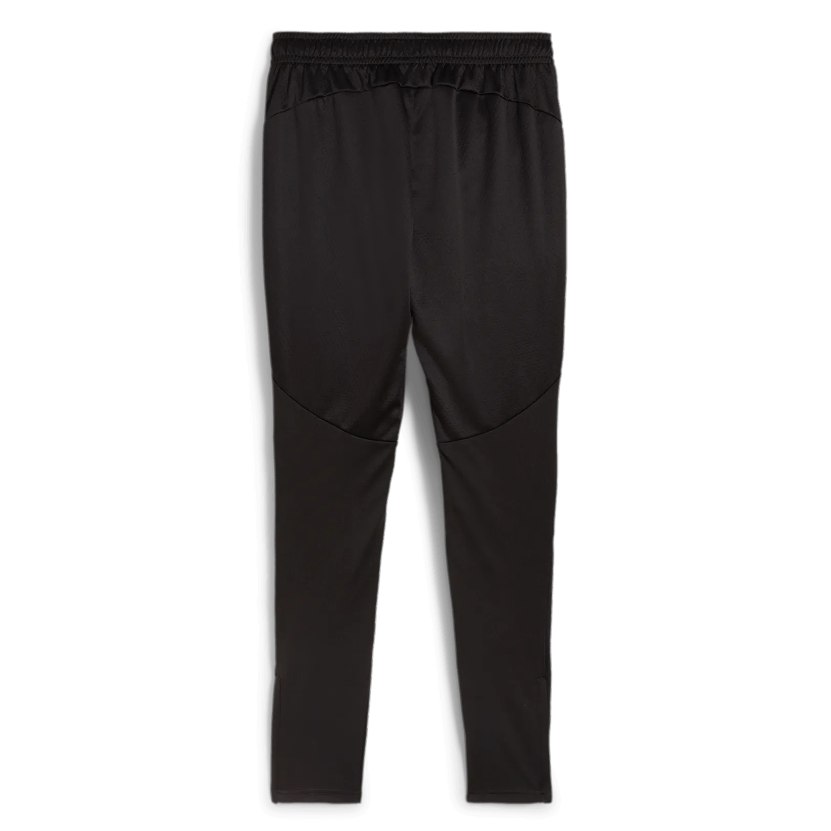Puma 2024-25 Borussia Dortmund Men's Training Pants