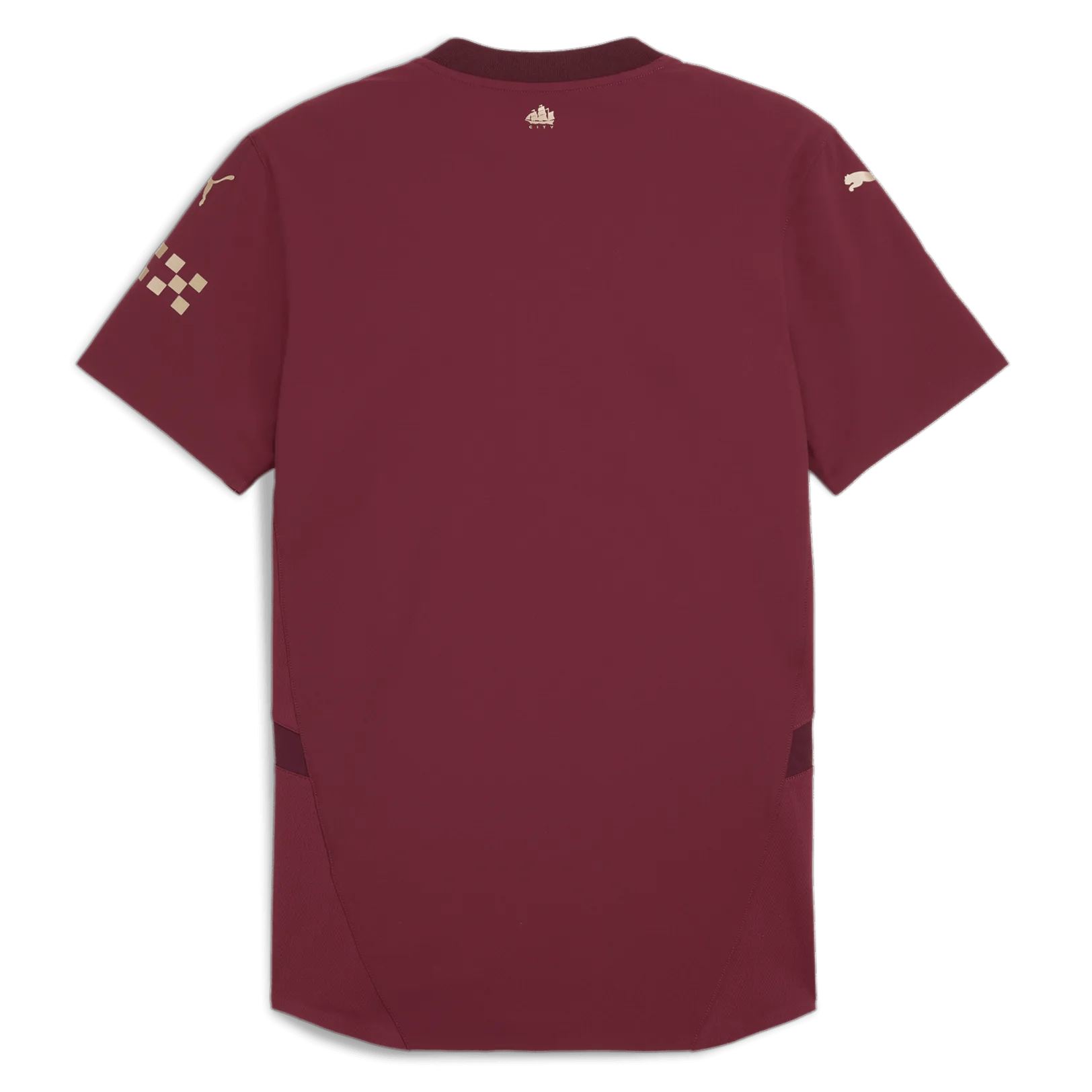 Puma 2024-25 Manchester City Men's Authentic Third Jersey (Back)