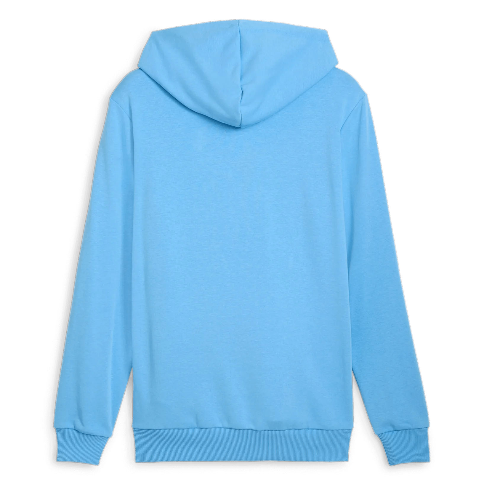 Puma 2024-25 Manchester City Men's FTBLCulture Hoodie (Back)