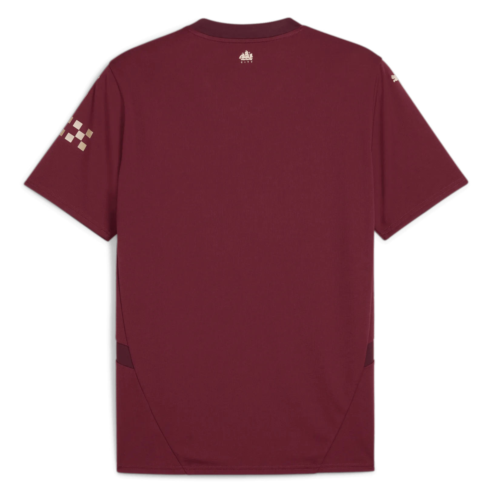 Puma 2024-25 Manchester City Men's Stadium Third Jersey (Back)