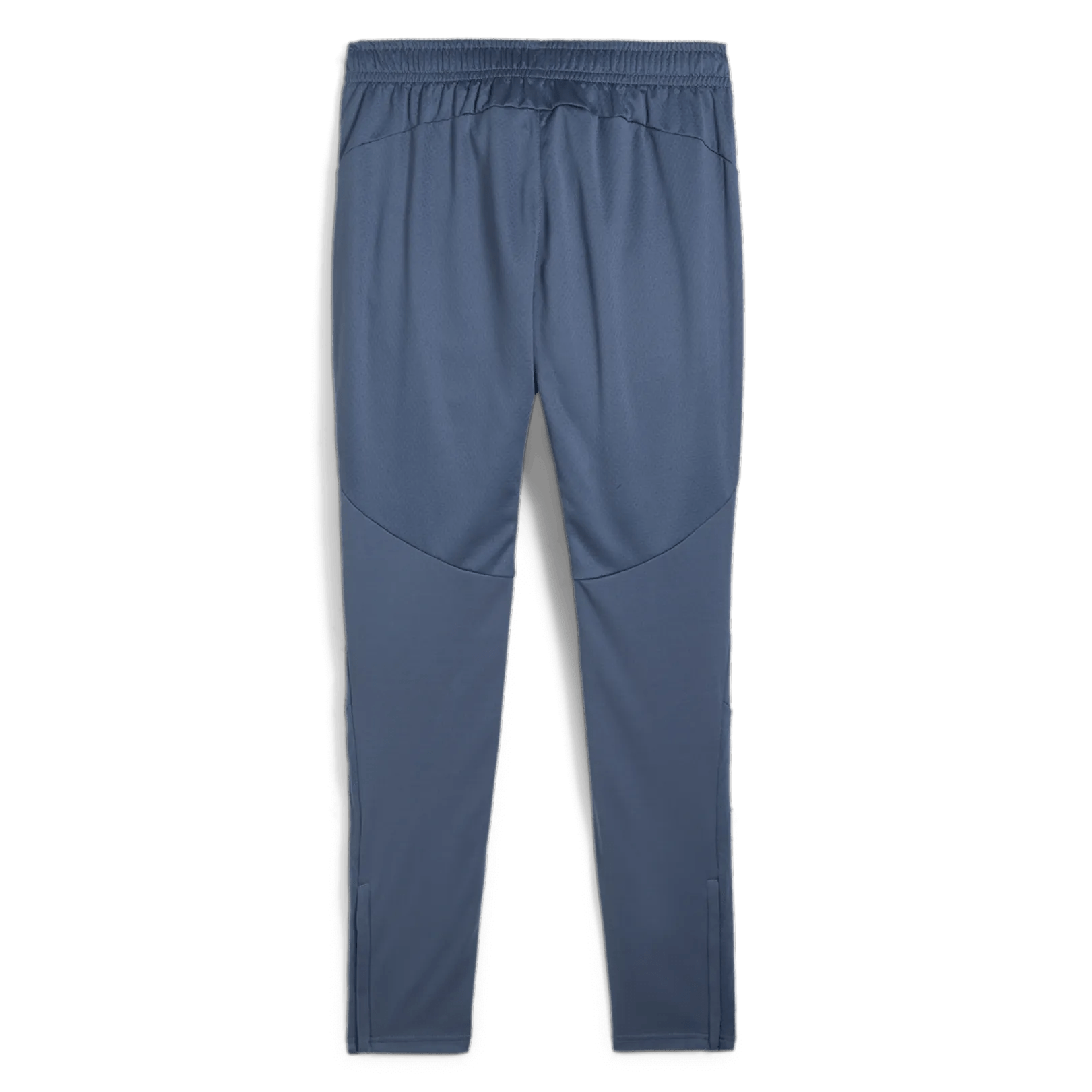 Puma 2024-25 Manchester City Men's Training Pants (Back)