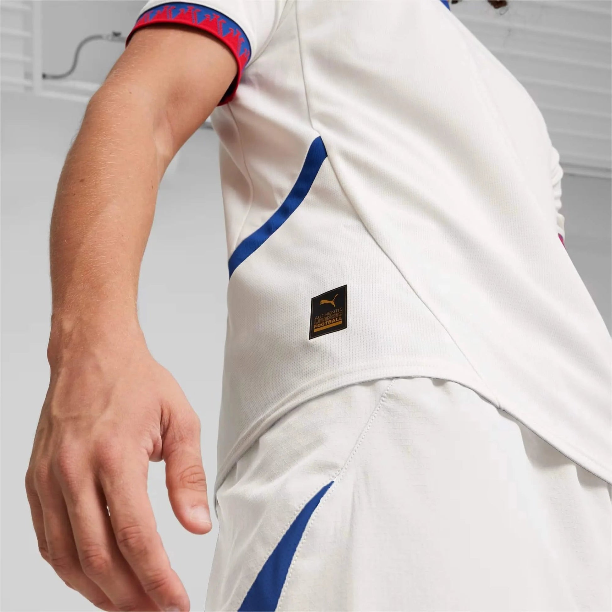 Puma 2024-25 Serbia Stadium Away Jersey (Detail 2)