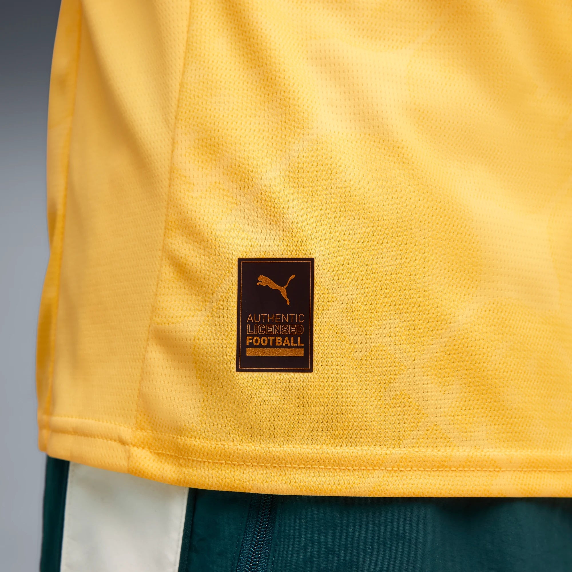 Puma 2025-26 AC Milan Men's Stadium Third Soccer Jersey (Detail 2)