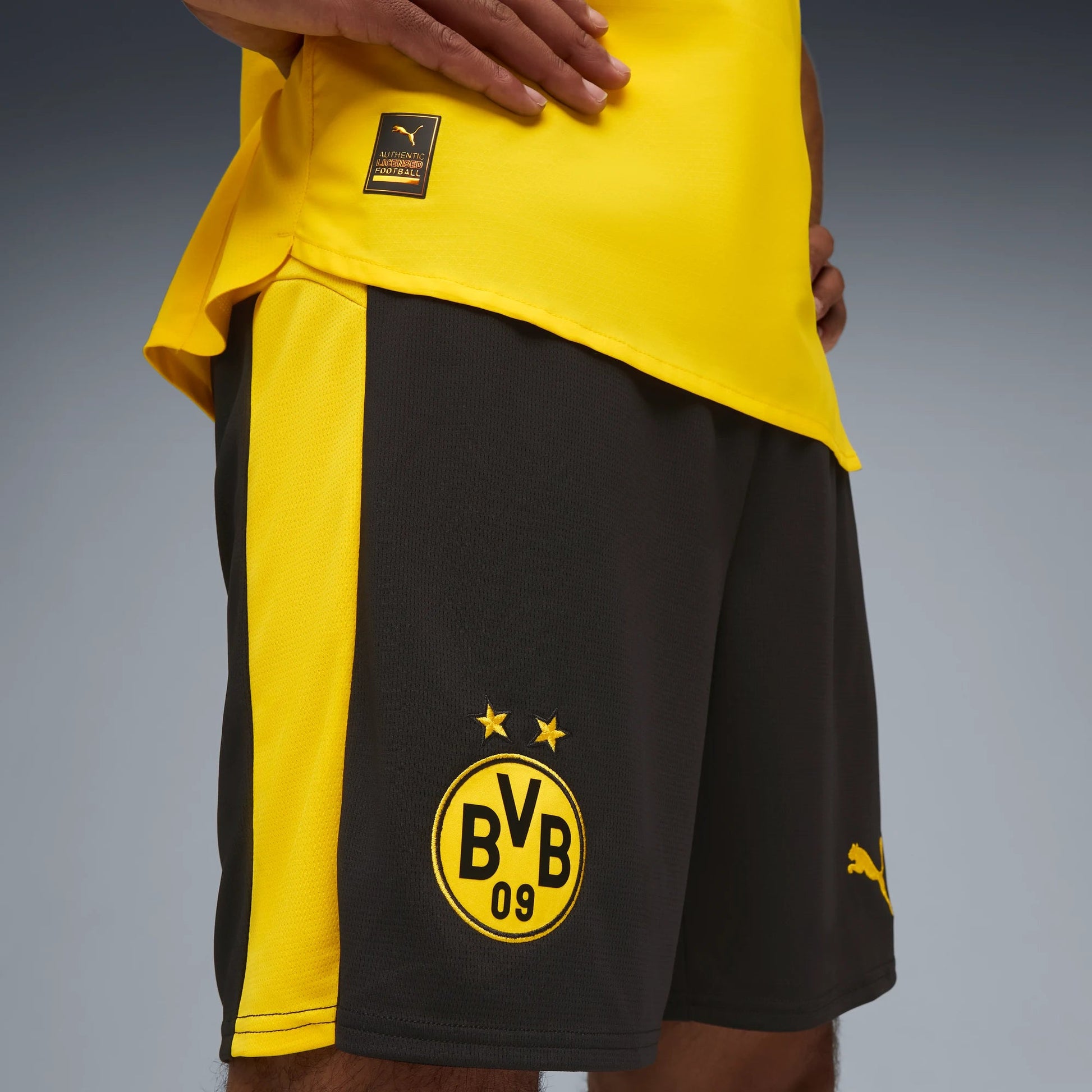 Puma 2025-26 Borussia Dortmund Men's Stadium Blocking Shorts (Detail 1)
