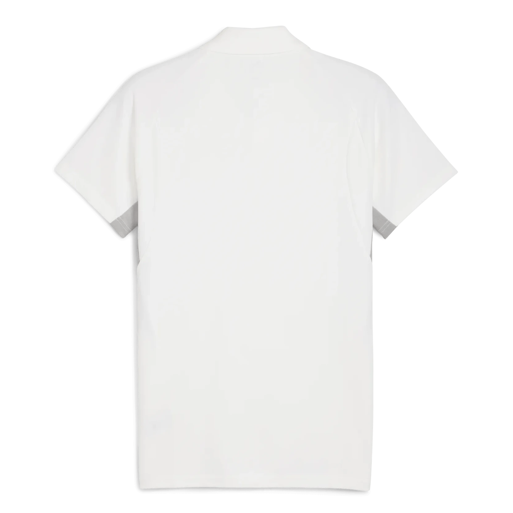 Puma 2025-26 Chivas Men's EVOSTRIPE Polo (Back)