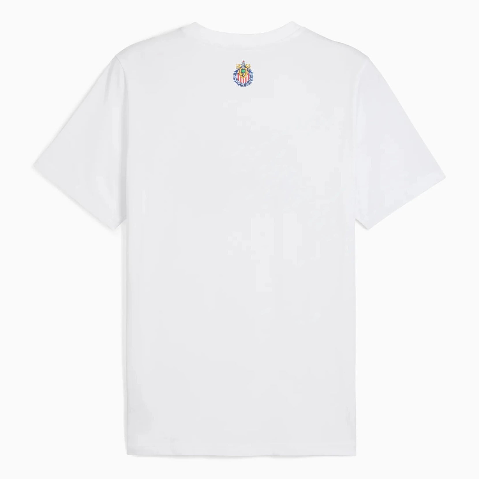 Puma 2025-26 Chivas Men's FTBLCulture Tee (Back)