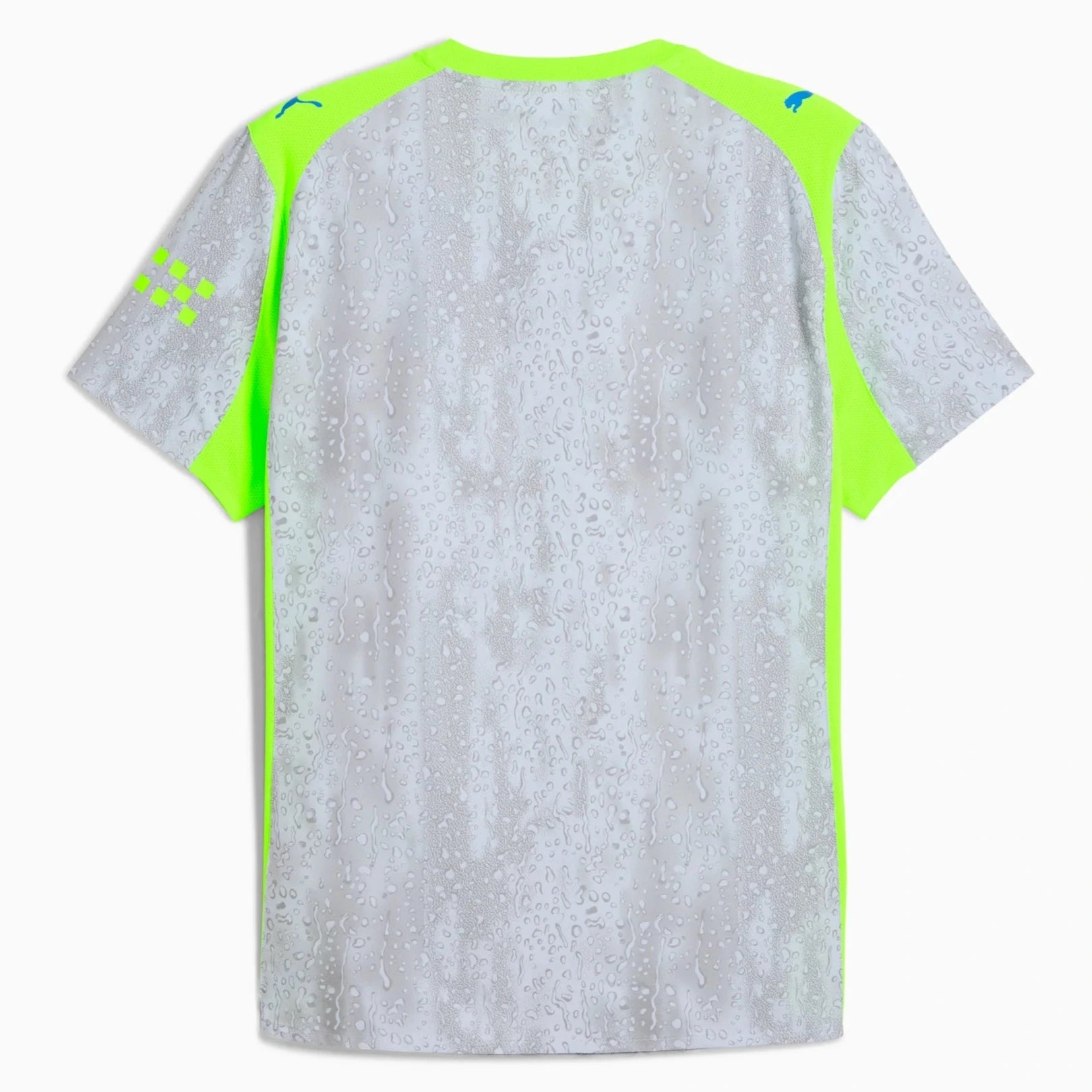 Puma 2025-26 Manchester City Men's Authentic Third Soccer Jersey (Back)