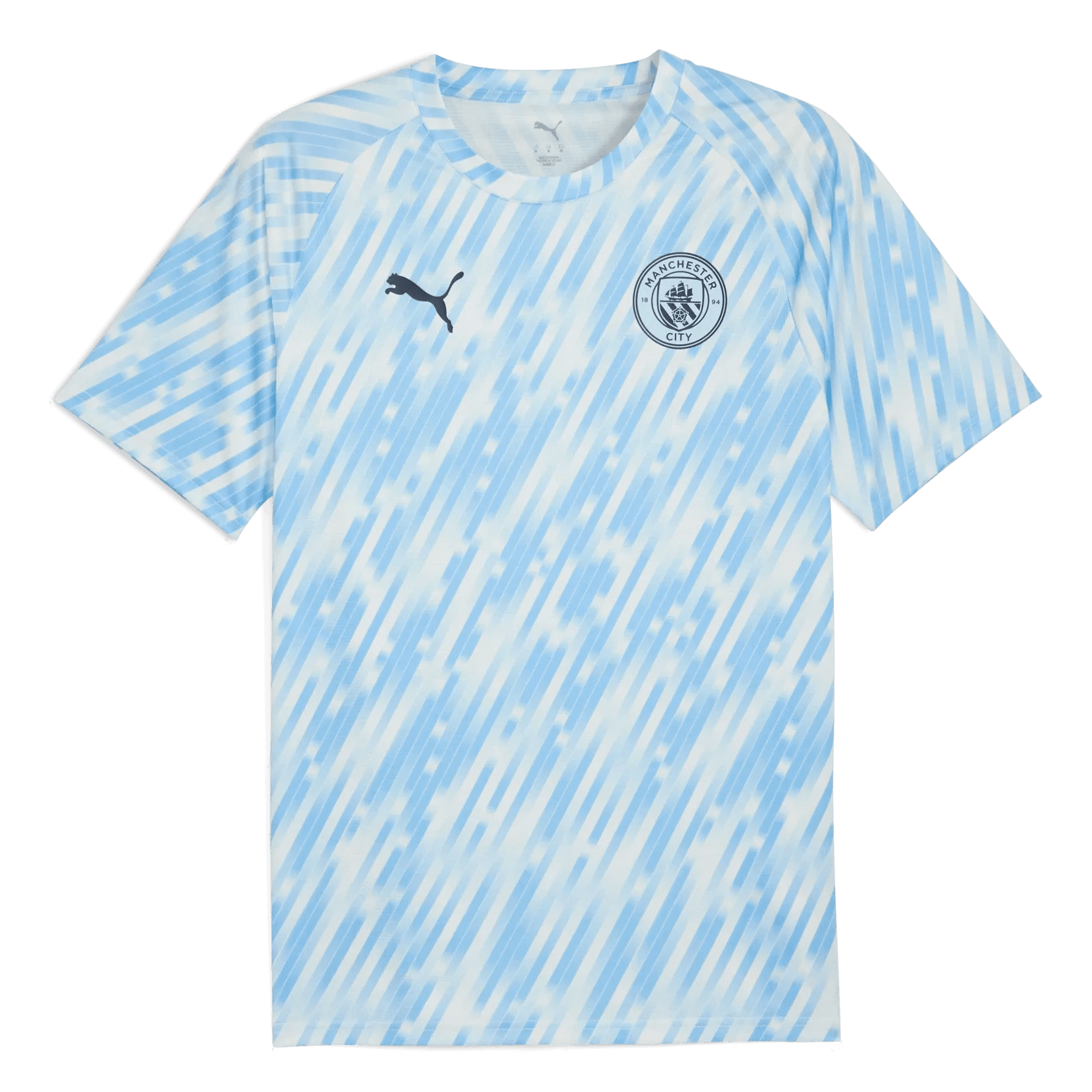 Puma 2025-26 Manchester City Men's Pre-Match Soccer Jersey Silver Sky (Front)