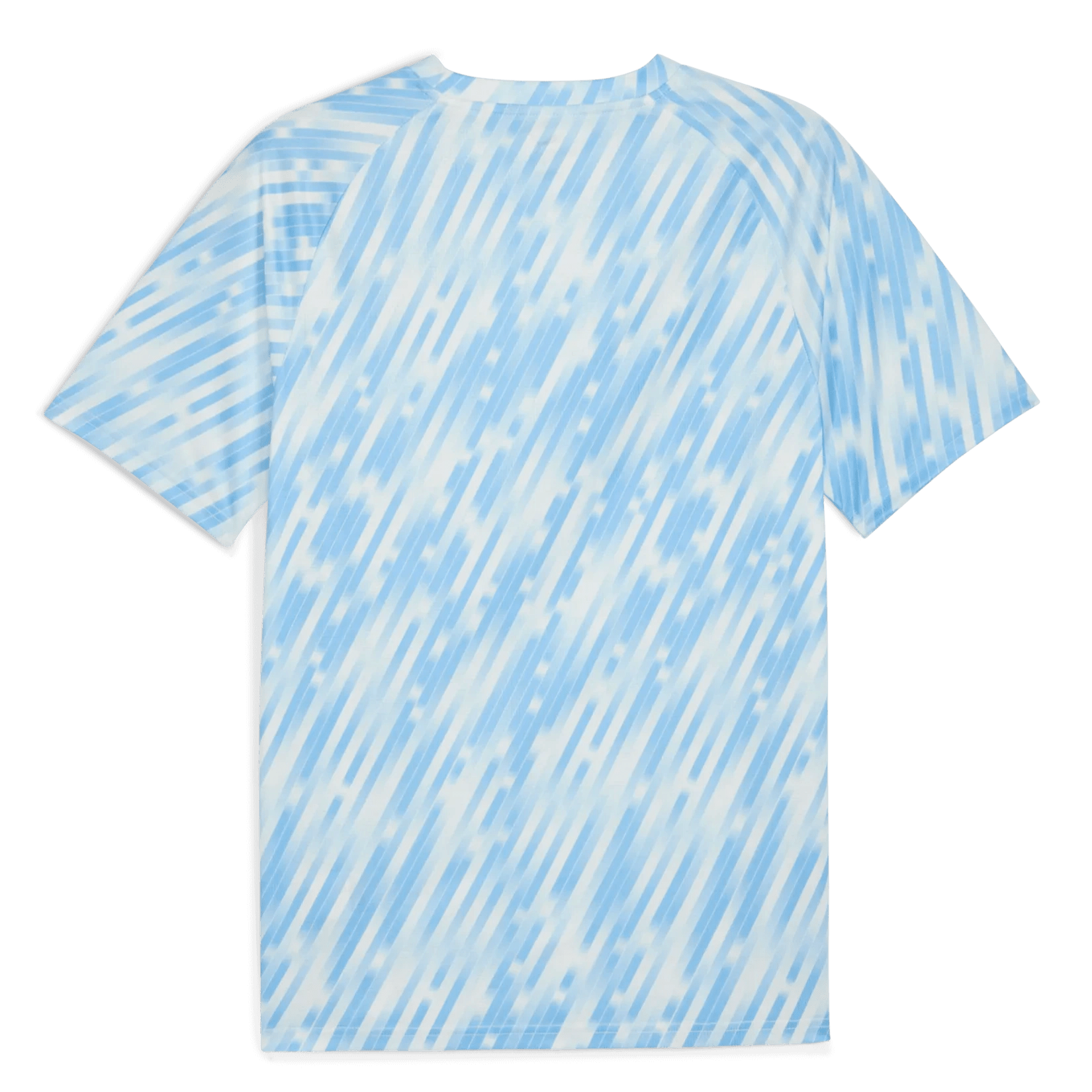 Puma 2025-26 Manchester City Men's Pre-Match Soccer Jersey Silver Sky (Back)