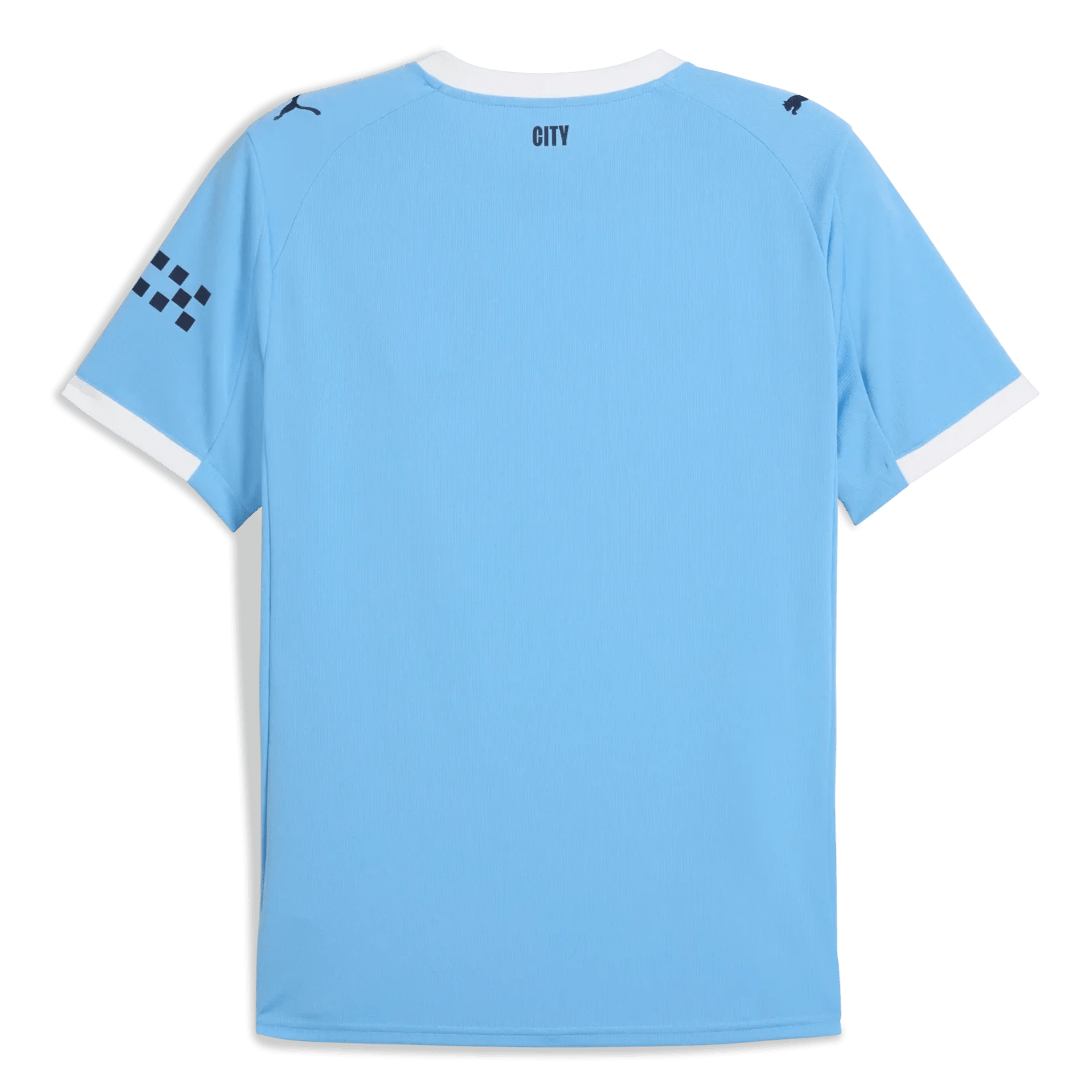 Puma 2025-26 Manchester City Men's Stadium Home Soccer Jersey (Back)