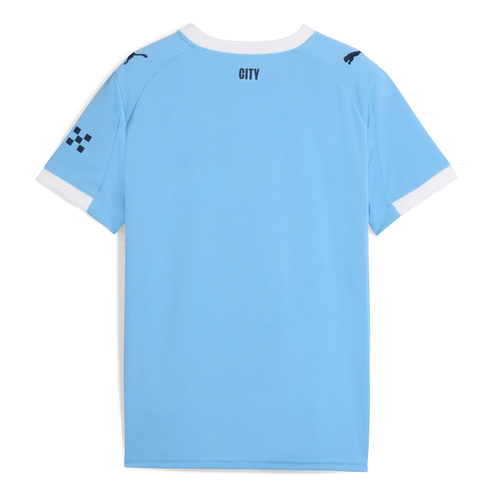 Puma 2025-26 Manchester City Youth Stadium Home Soccer Jersey (Back)