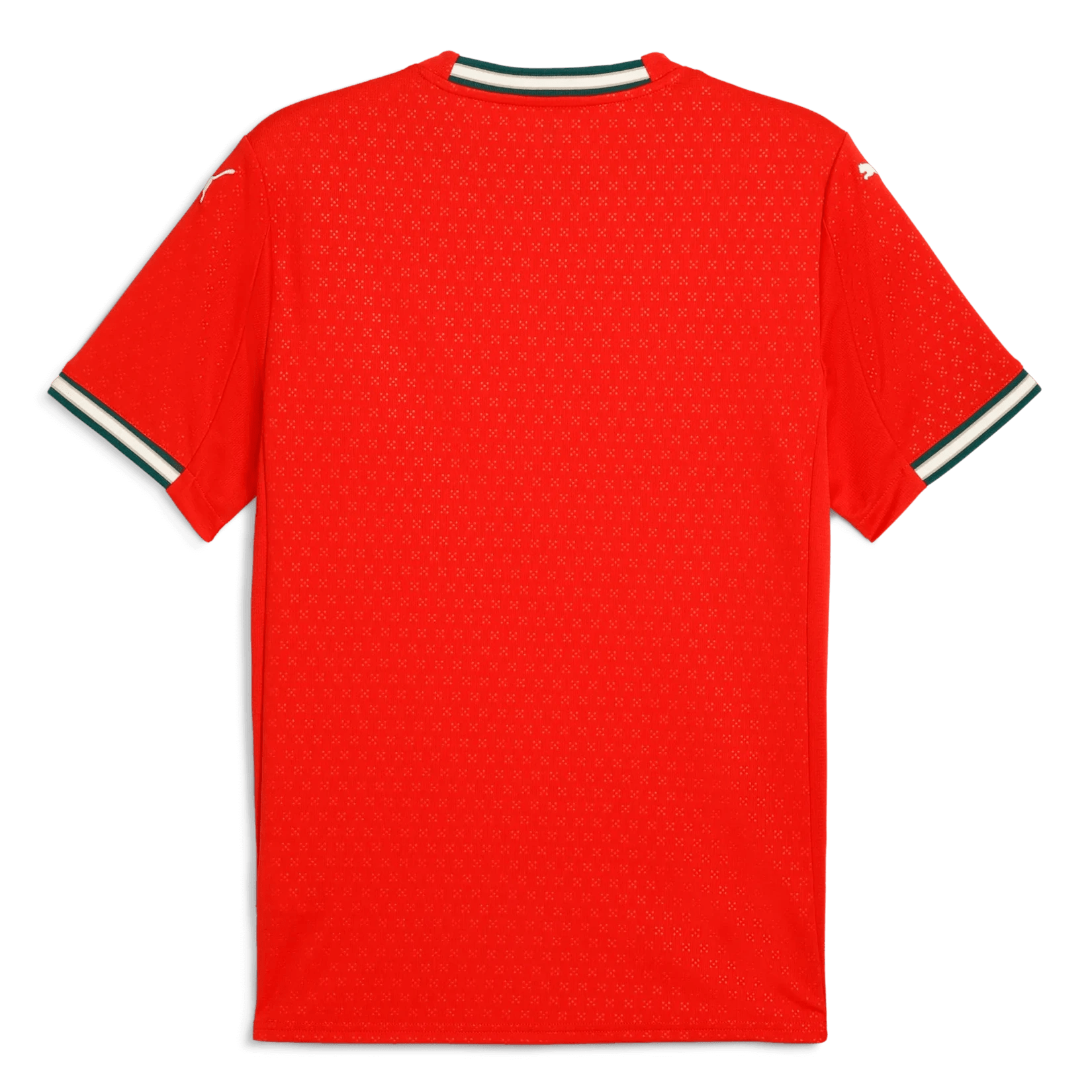 Puma 2025-26 Portugal Men's Stadium Home Jersey (Back)