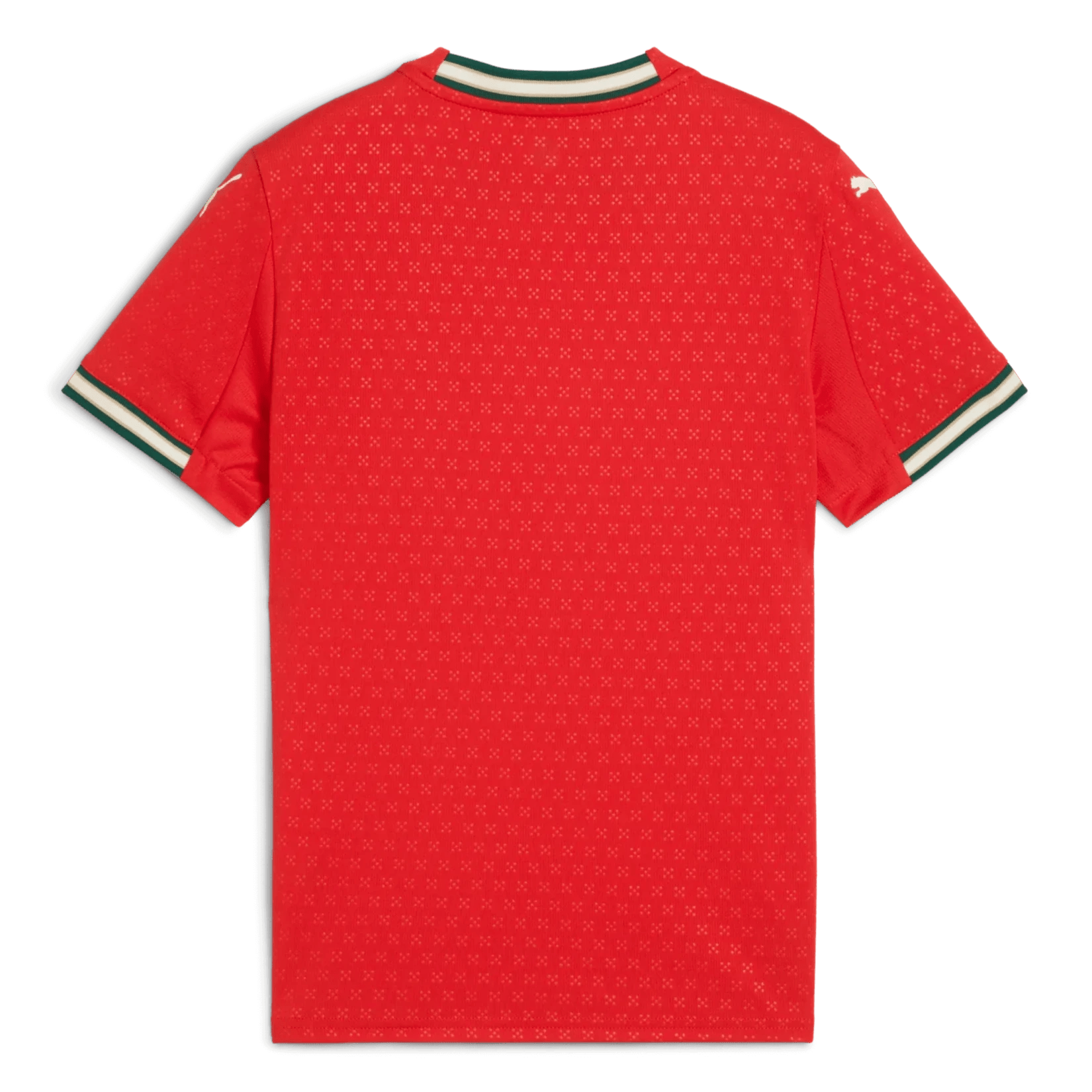 Puma 2025-26 Portugal Youth Stadium Home Jersey