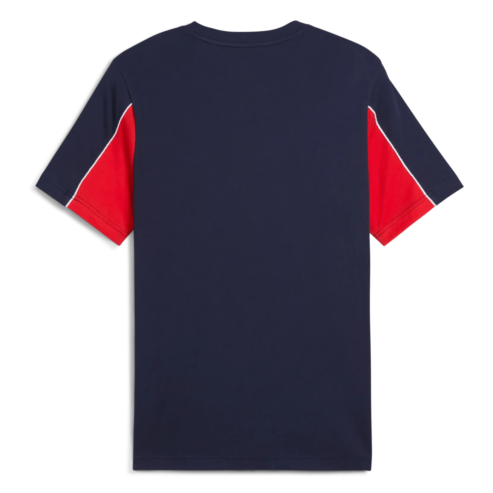 Puma 2025 Chivas Men's FTBLARCHIVE Tee (Back)