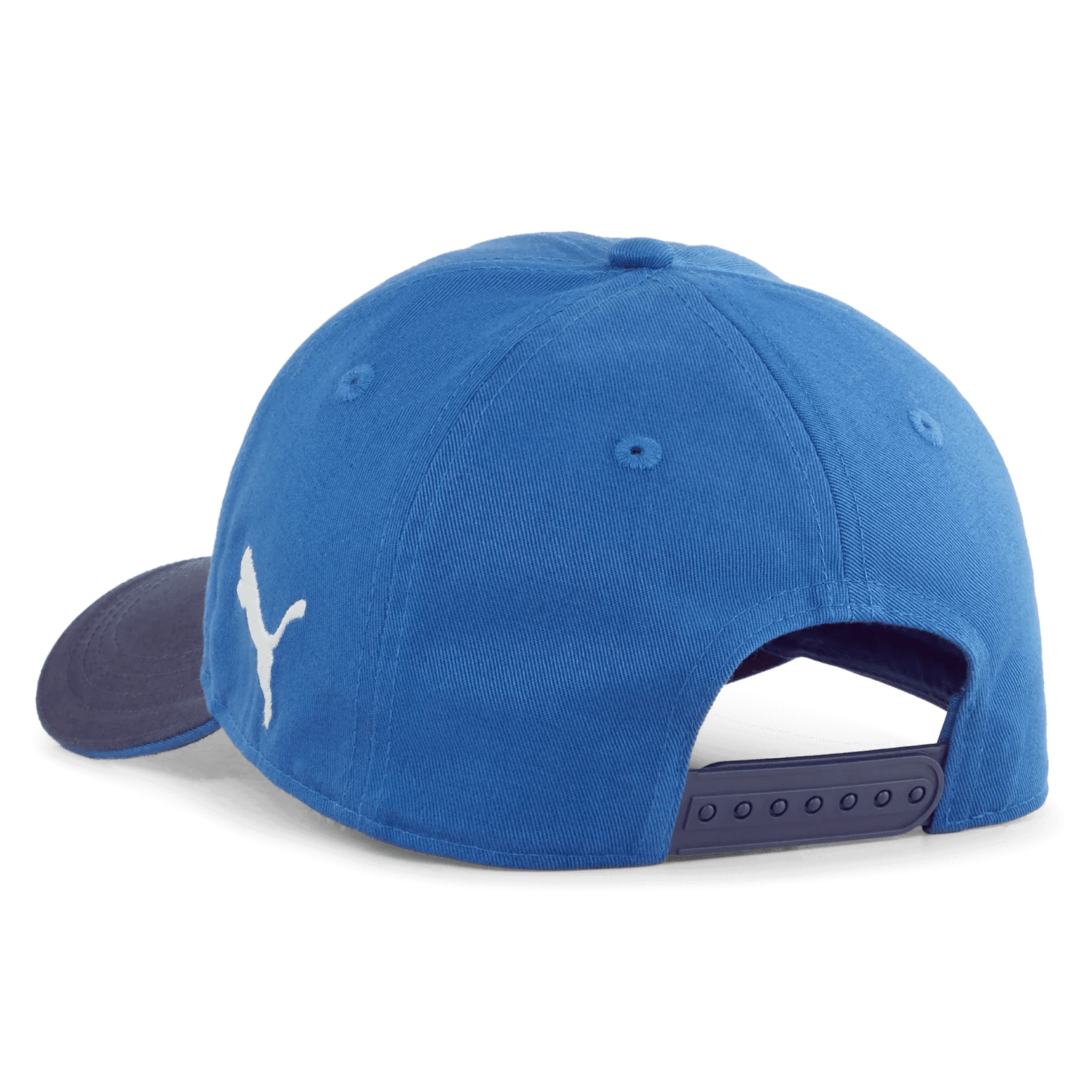 Puma 2025 Chivas Team Cap