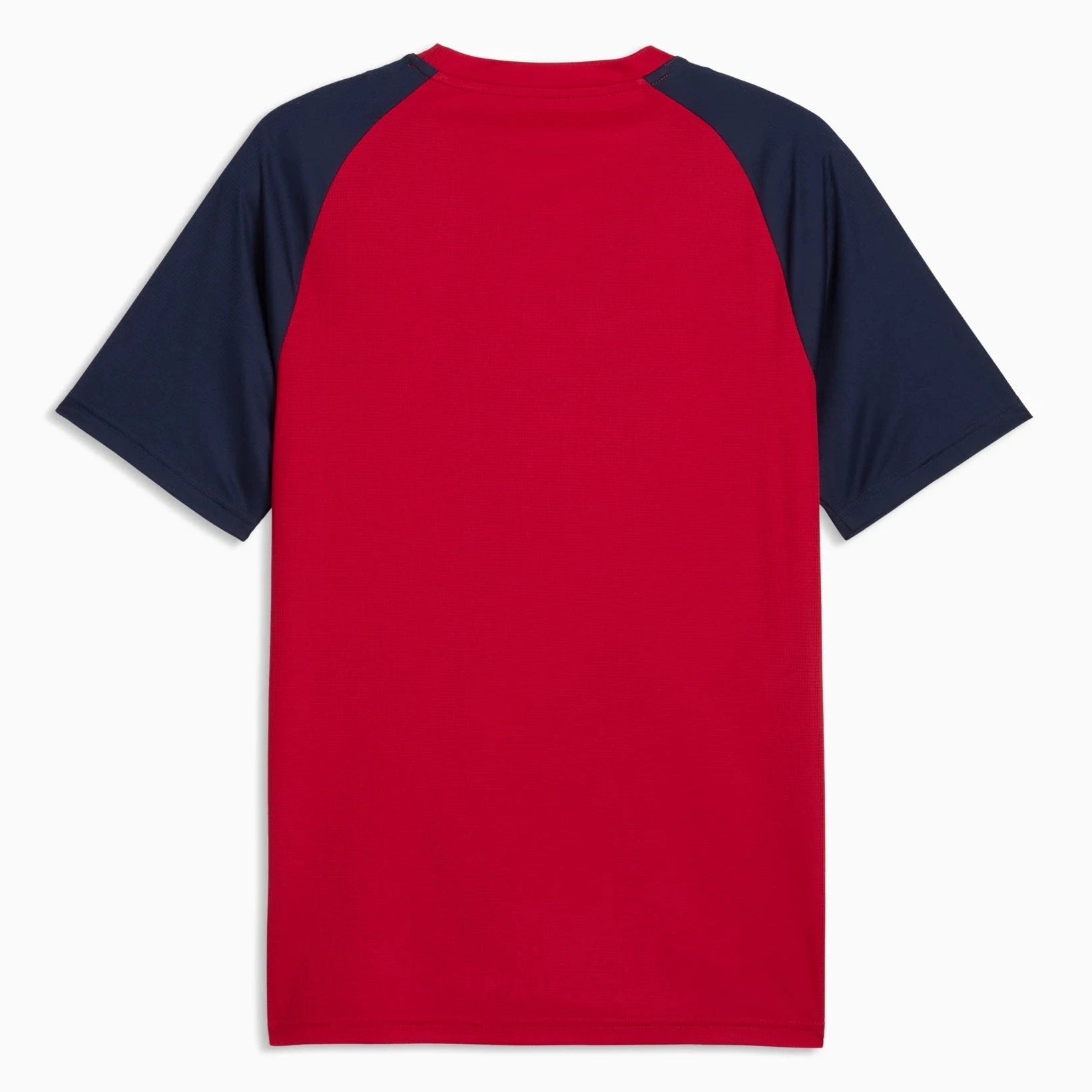 Puma 2026 Czech Republic Men's Pre-Match Soccer Jersey