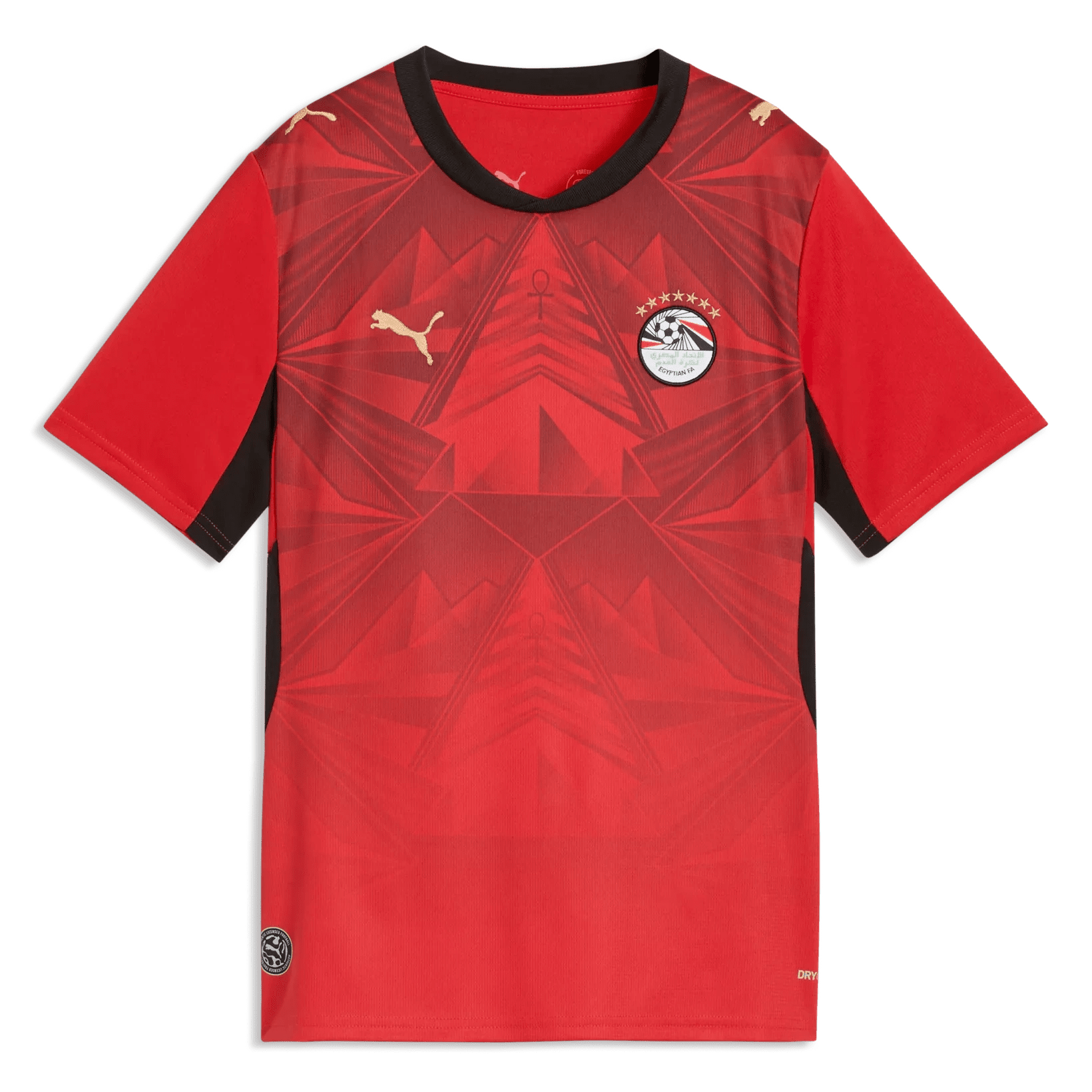 Puma 2026-27 Egypt Youth Stadium Home Soccer Jersey