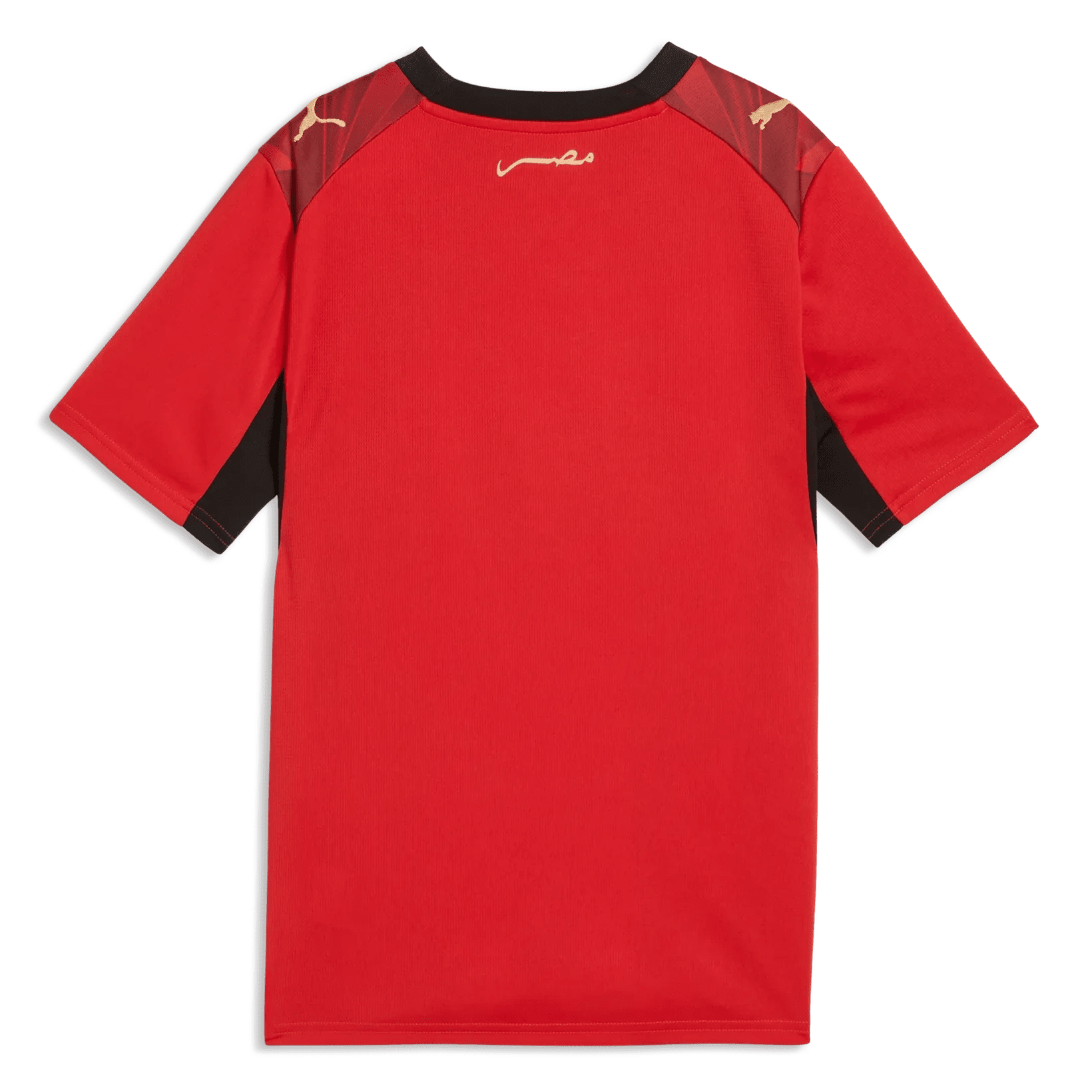 Puma 2026-27 Egypt Youth Stadium Home Soccer Jersey