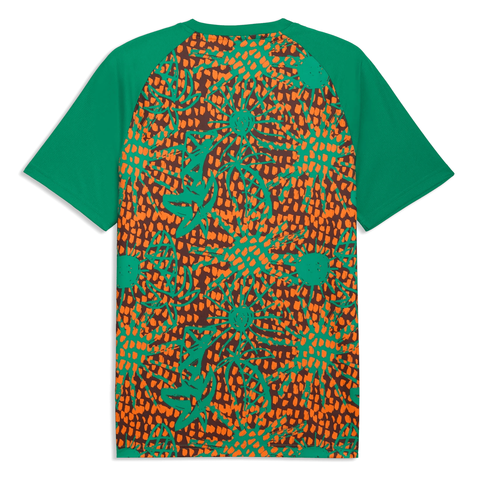 Puma 2026-27 Ivory Coast Men's Pre-Match Soccer Jersey
