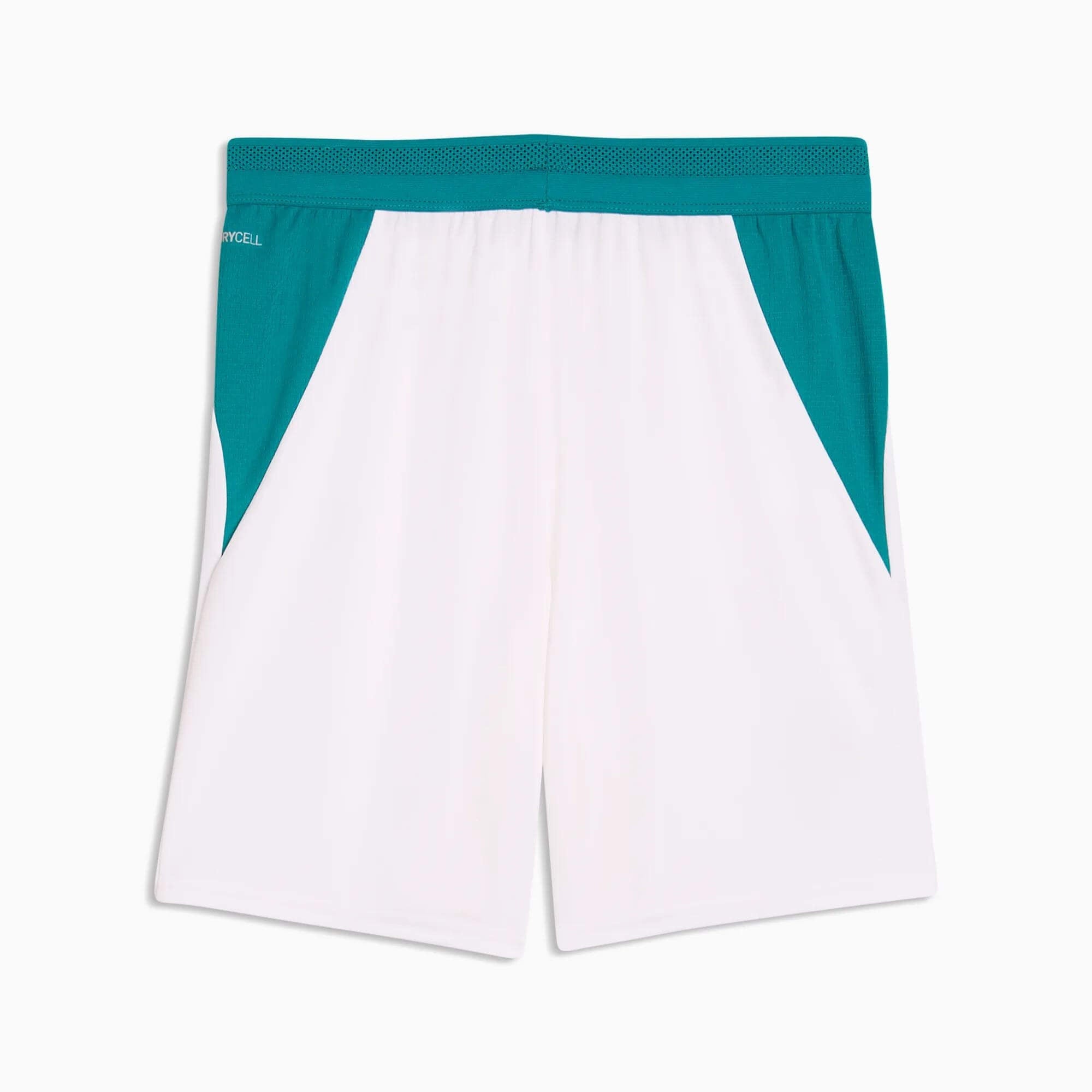 Puma 2026 Portugal Youth Stadium Shorts (Back)