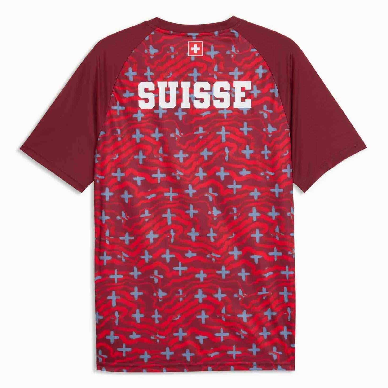 Puma 2026-27 Switzerland Men's Pre-Match Soccer Jersey (Back)