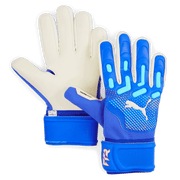Puma Future Match NC Goalkeeper Gloves