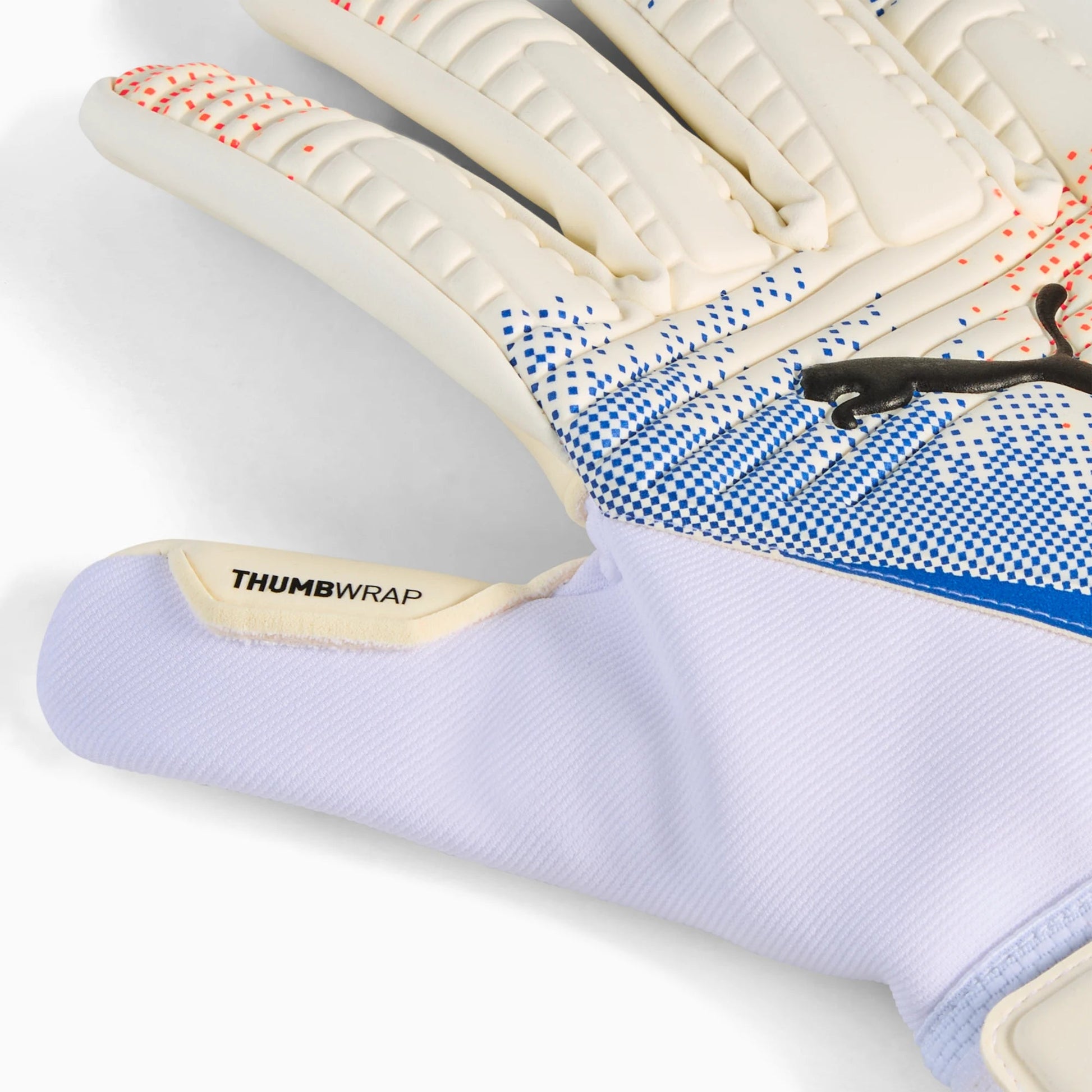 Puma Future Match NC Goalkeeper Gloves (Detail 1)