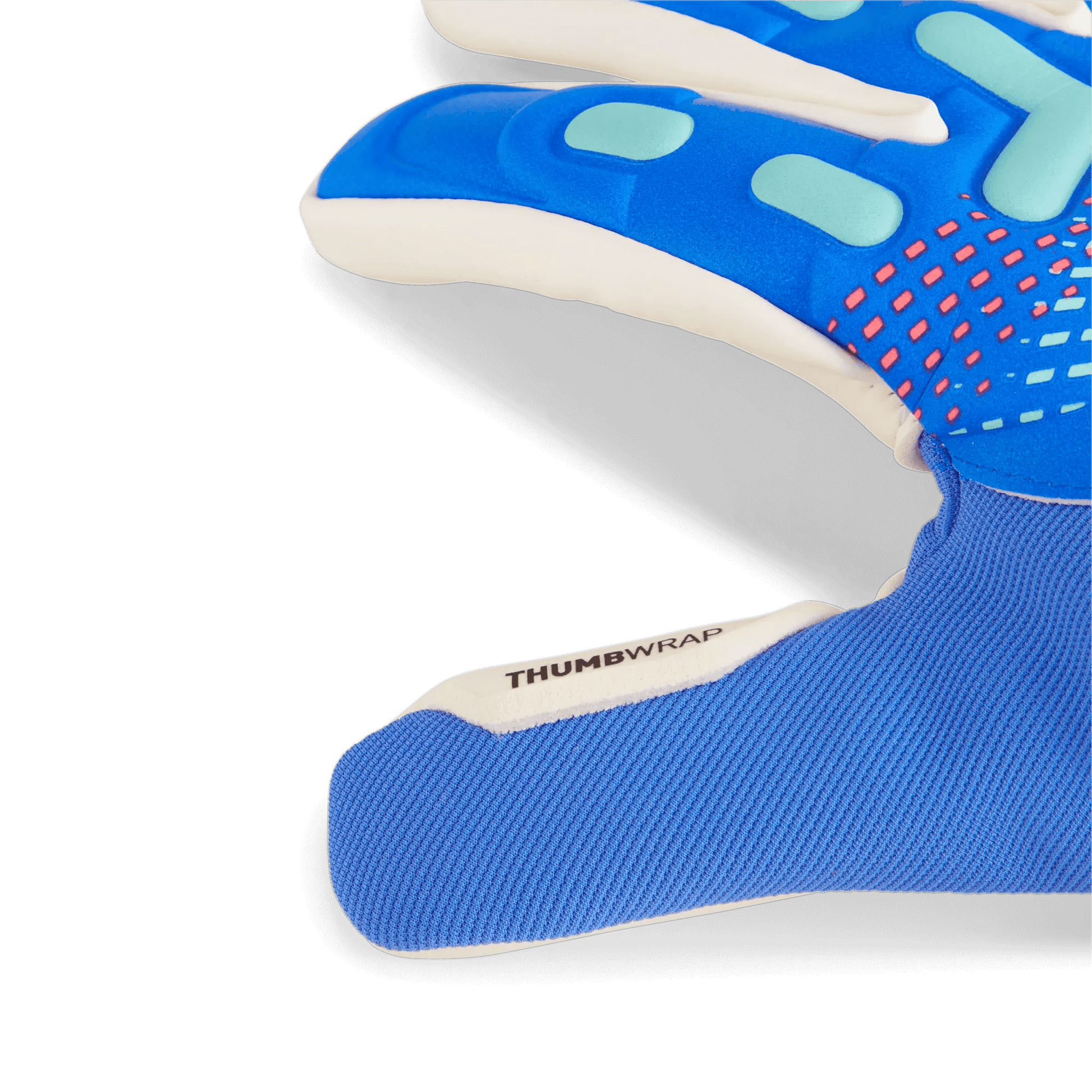 Puma Future Match NC Goalkeeper Gloves