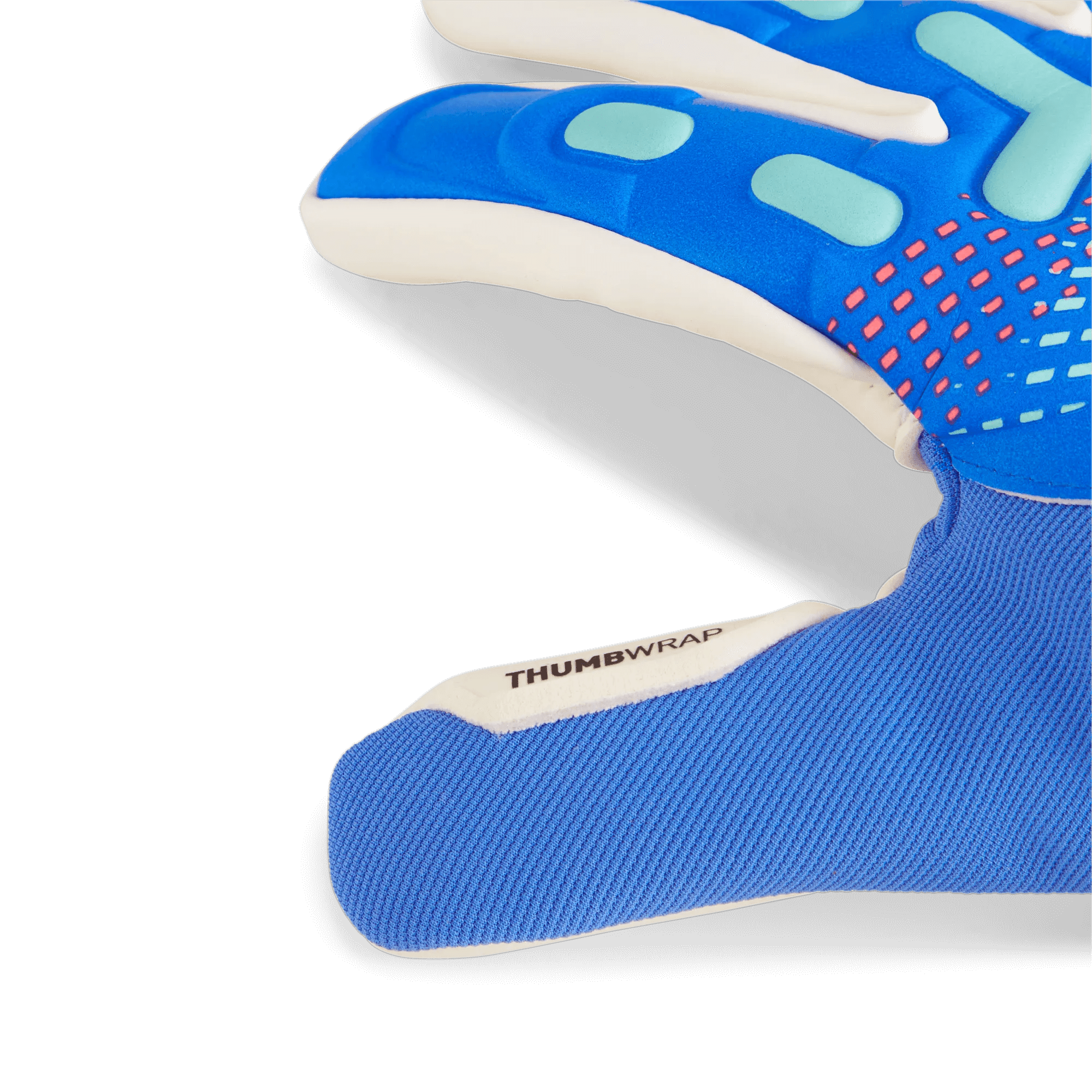 Puma Future Match NC Goalkeeper Gloves
