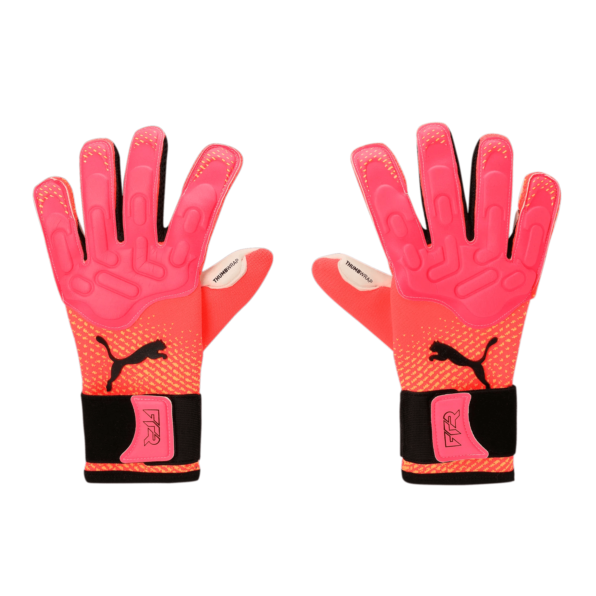 Puma Future Pro Hybrid Goalkeeper Gloves (Pair - Front)