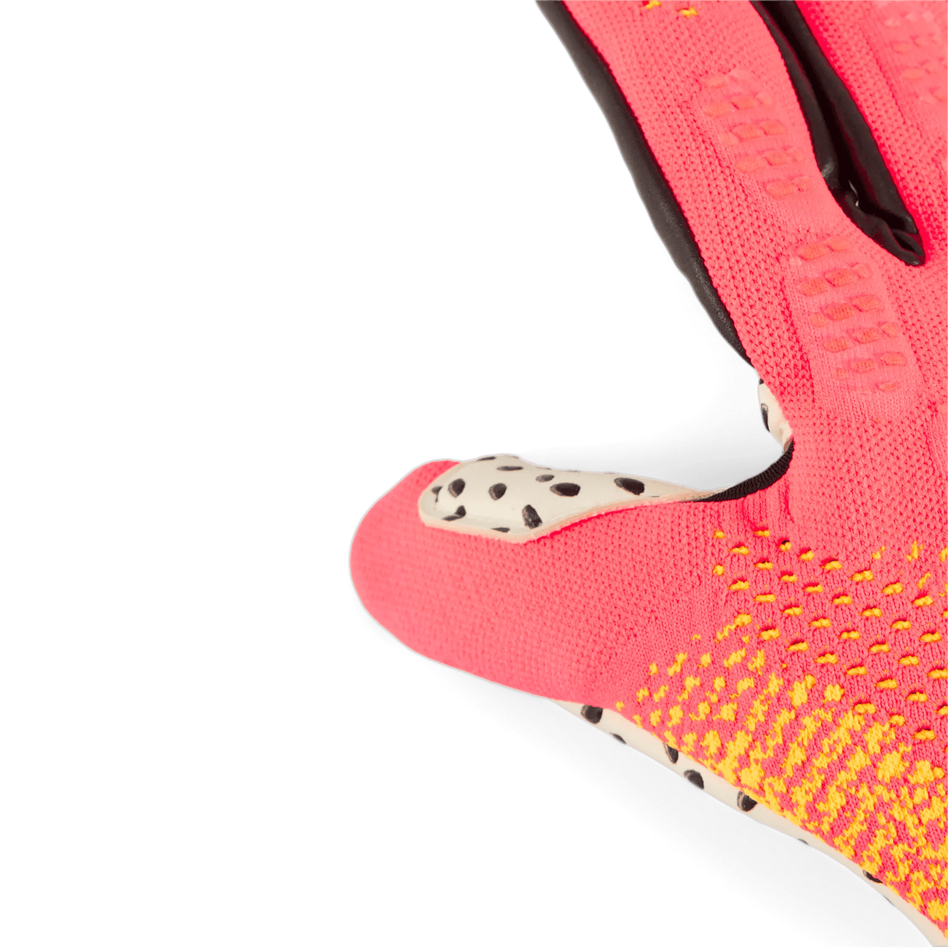 Puma Future Ultimate NC Goalkeeper Gloves