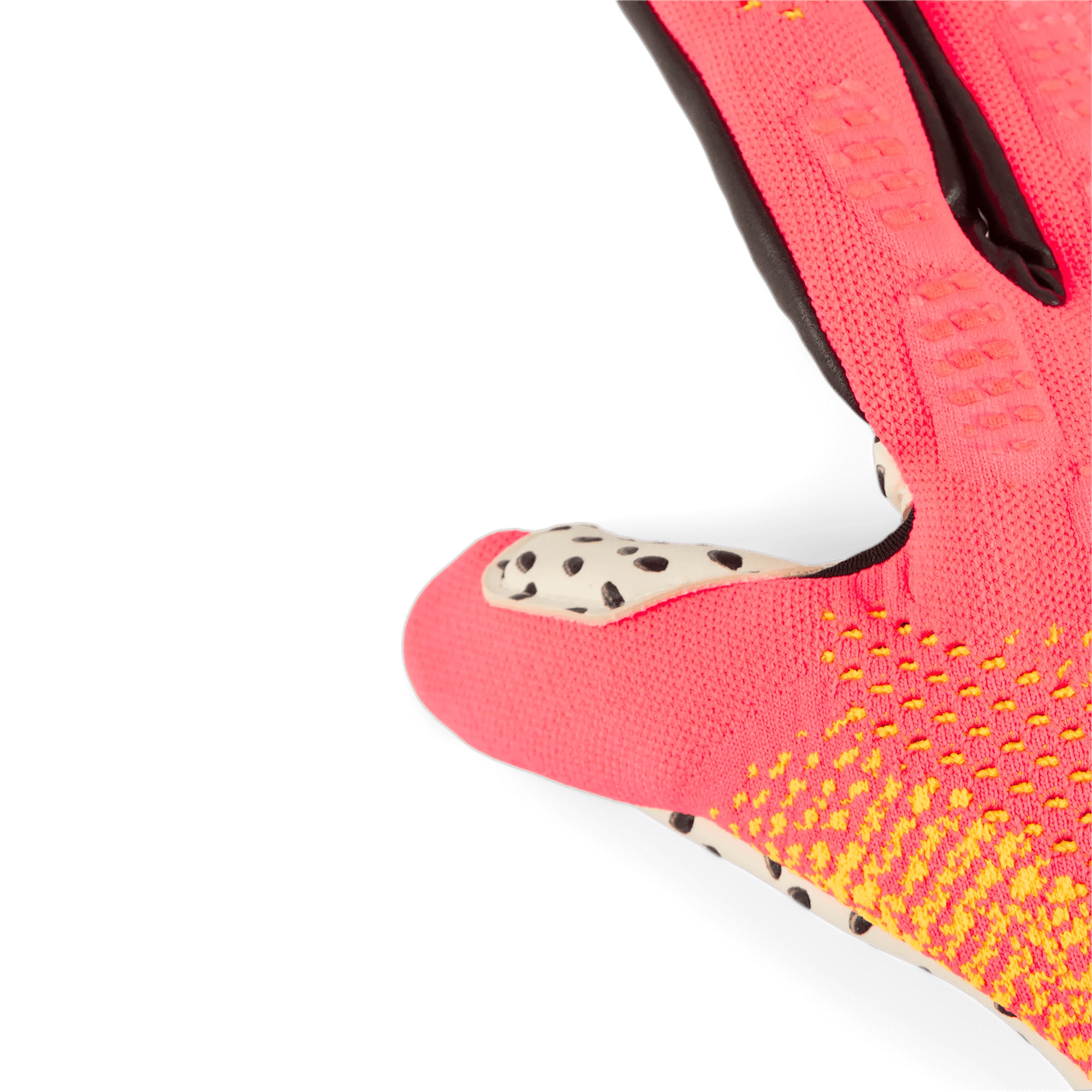 Puma Future Ultimate NC Goalkeeper Gloves