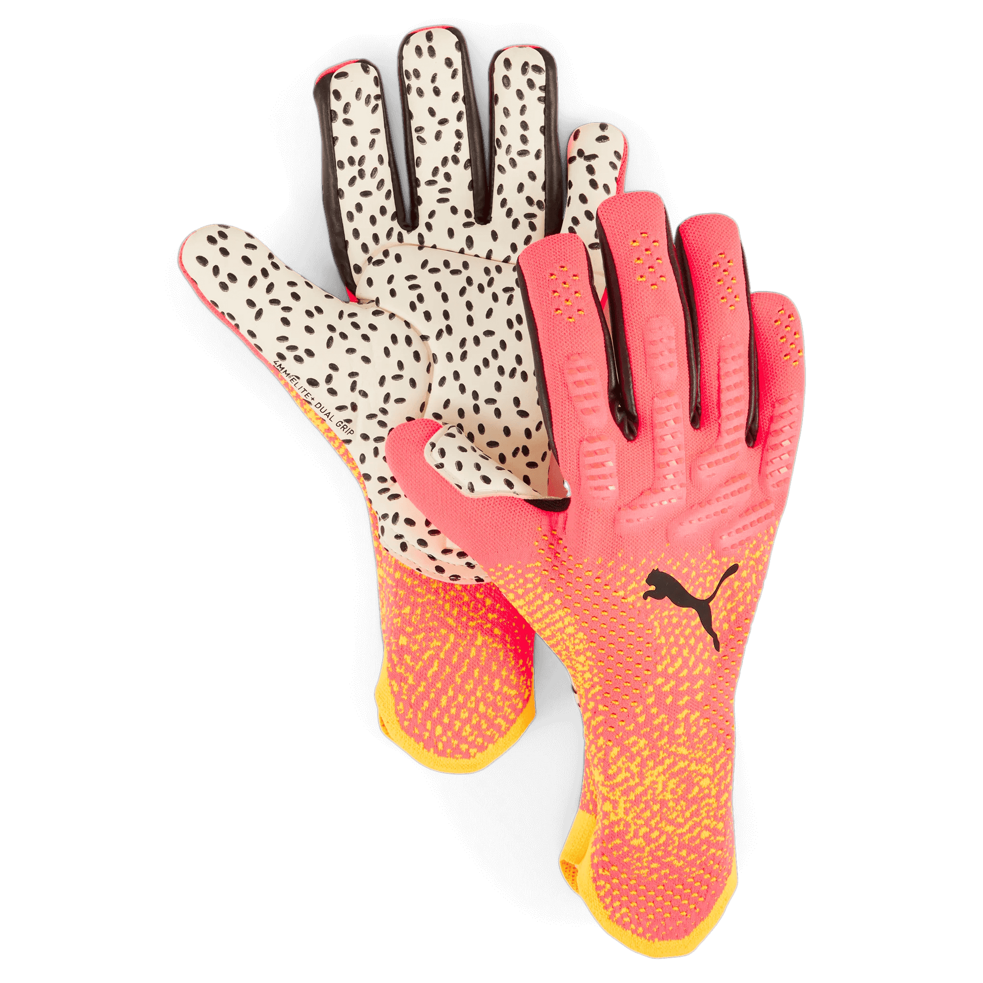 Puma Future Ultimate NC Goalkeeper Gloves