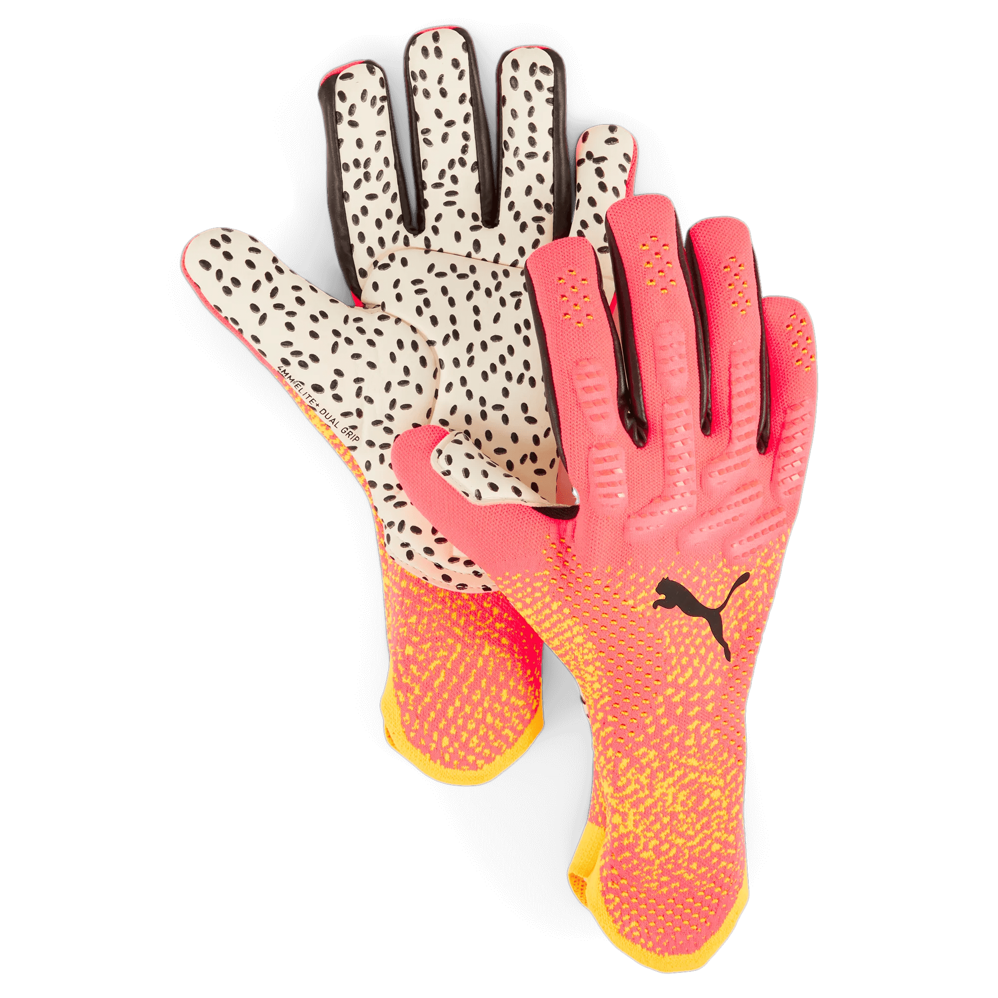 Puma Future Ultimate NC Goalkeeper Gloves