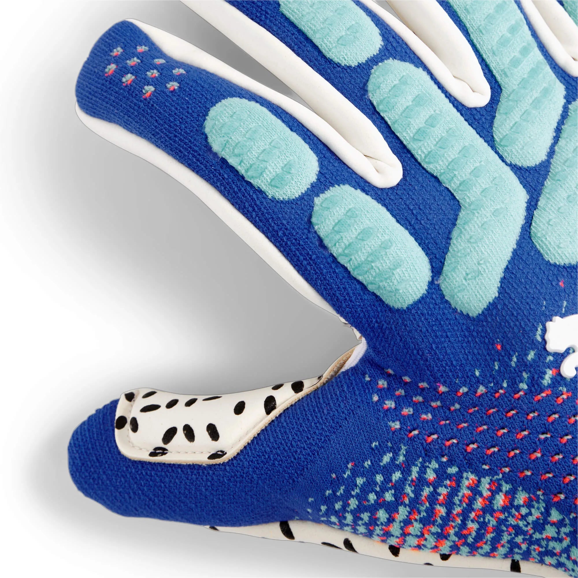 Puma Future Ultimate NC Goalkeeper Gloves