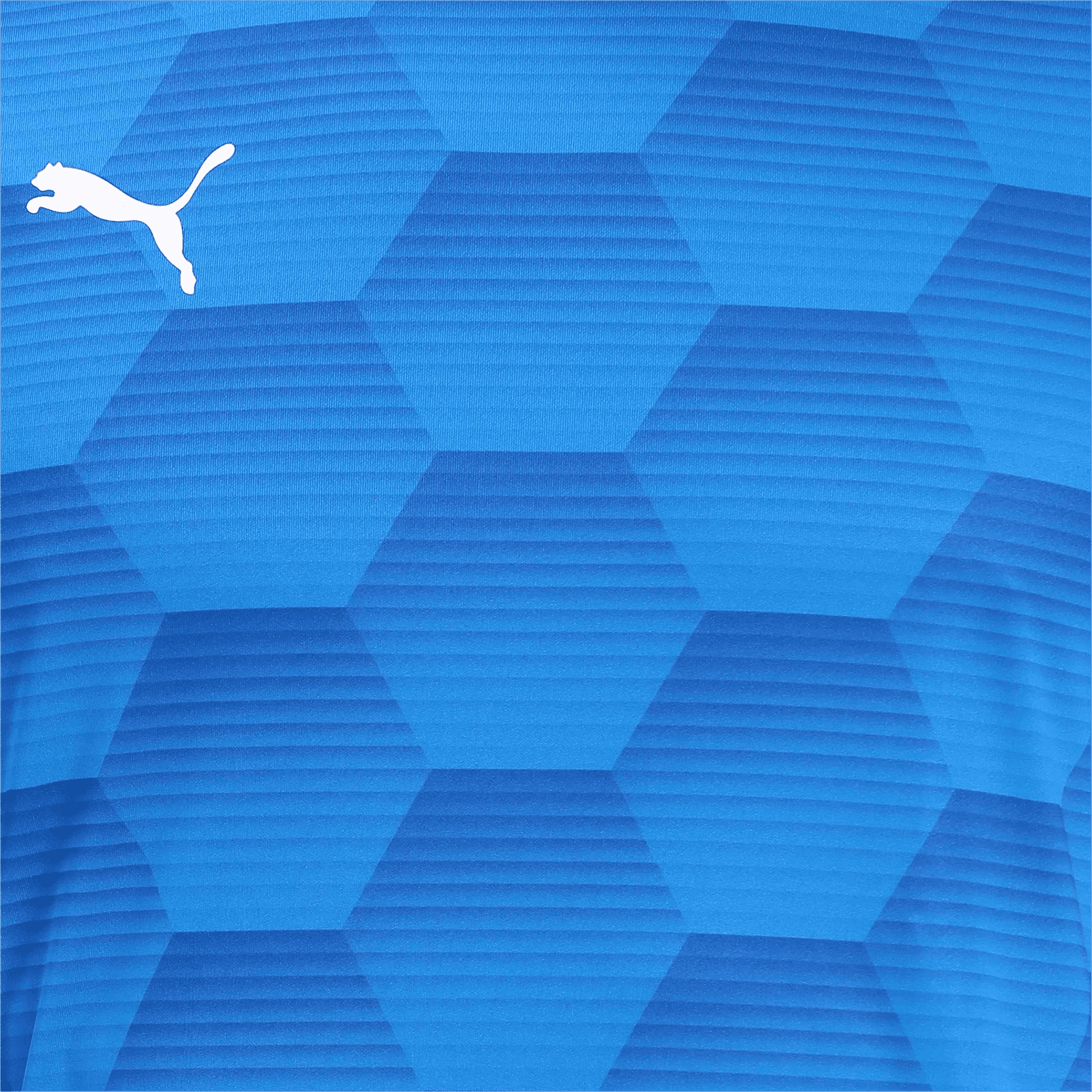 Puma Men's TeamFinal 21 Graphic Jersey