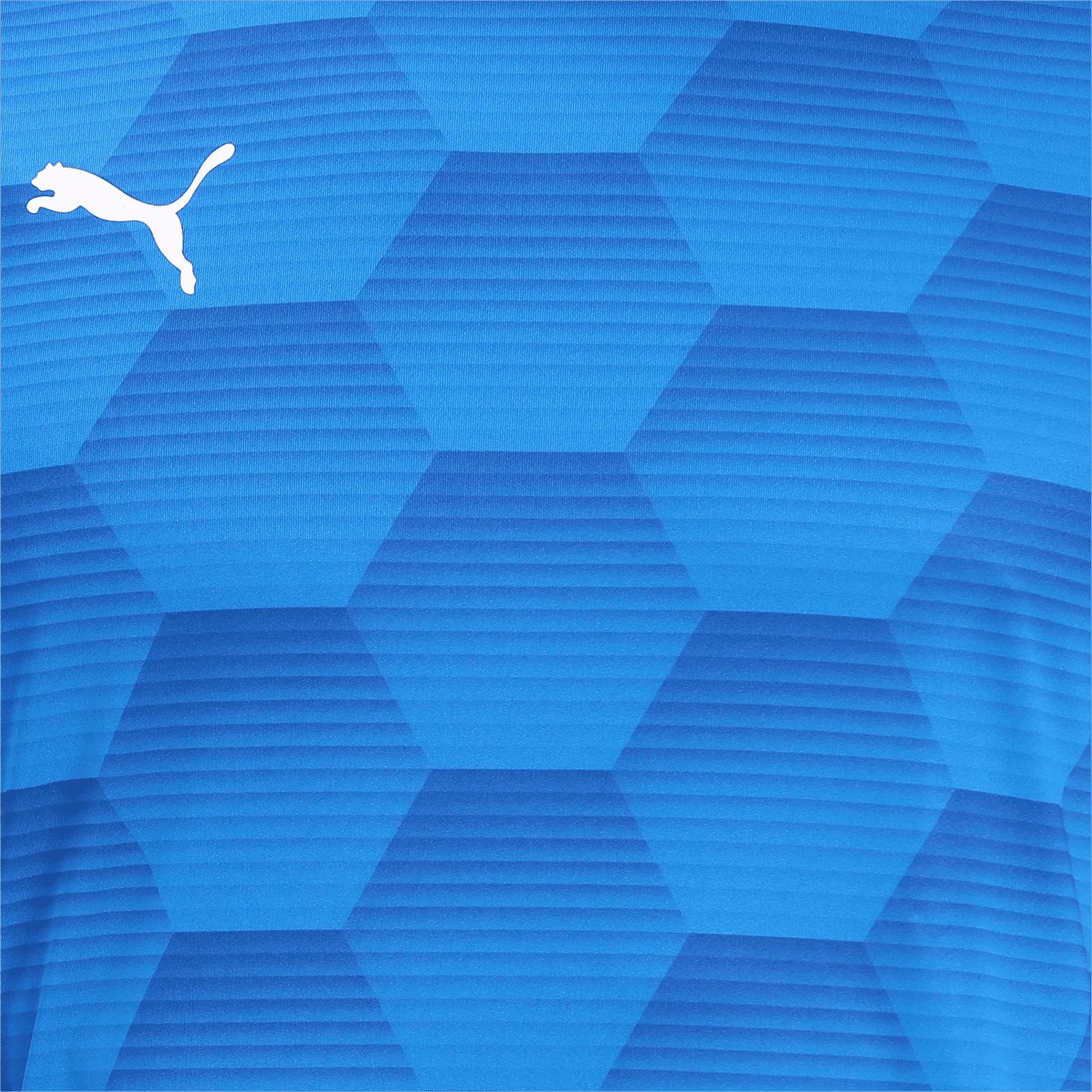 Puma Men's TeamFinal 21 Graphic Jersey