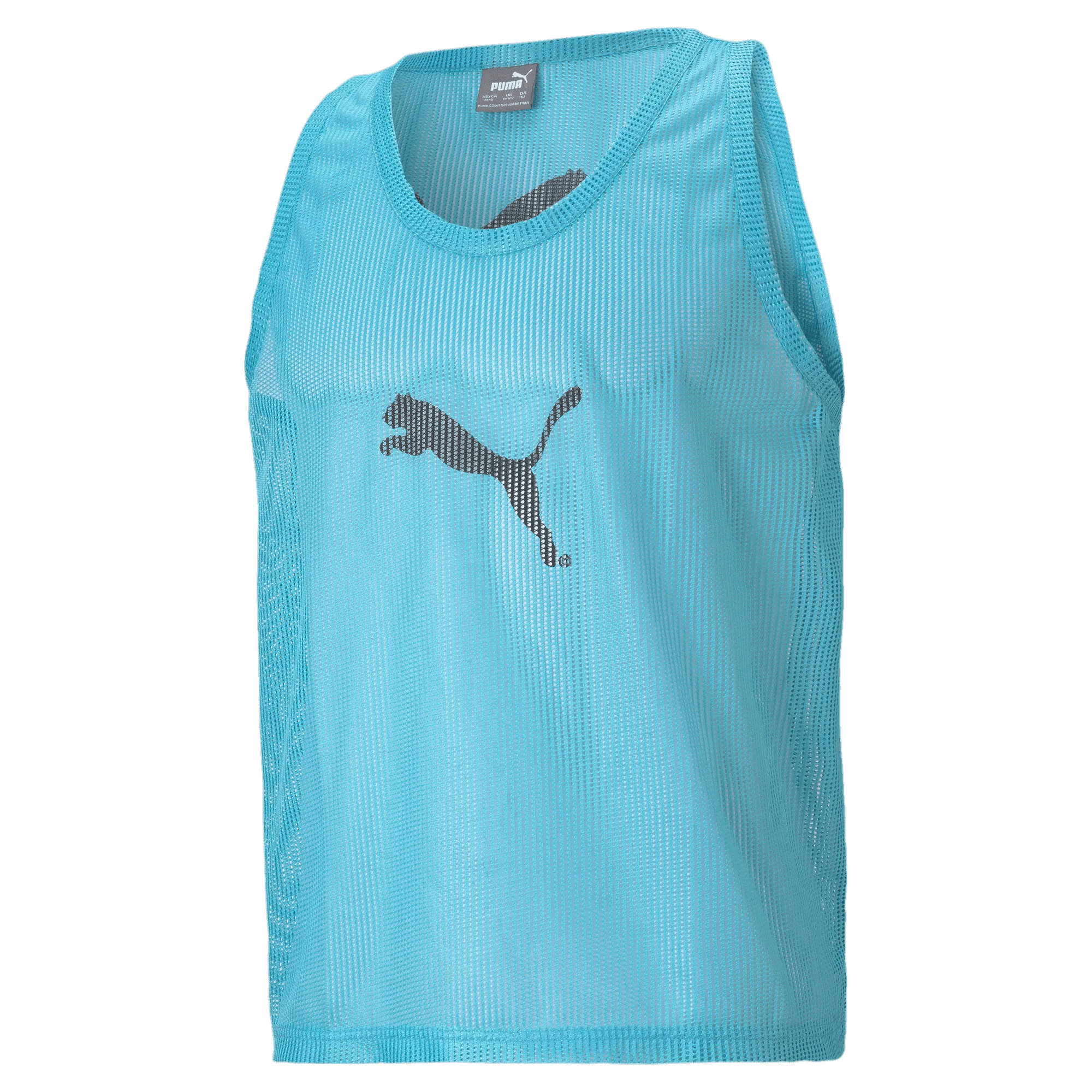 Puma Mens Training Vest Blue (Front)