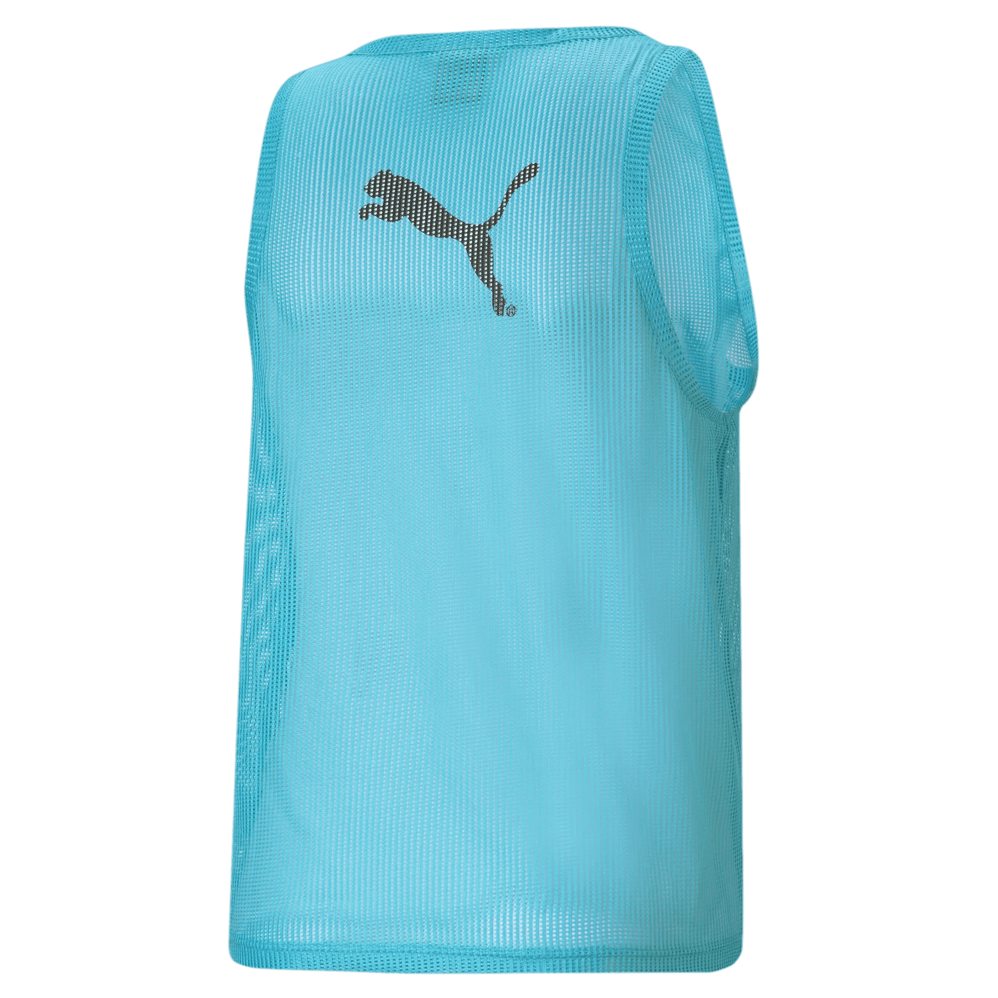 Puma Mens Training Vest Blue (Back)