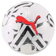 Puma Orbita 6 MS WB Training Ball