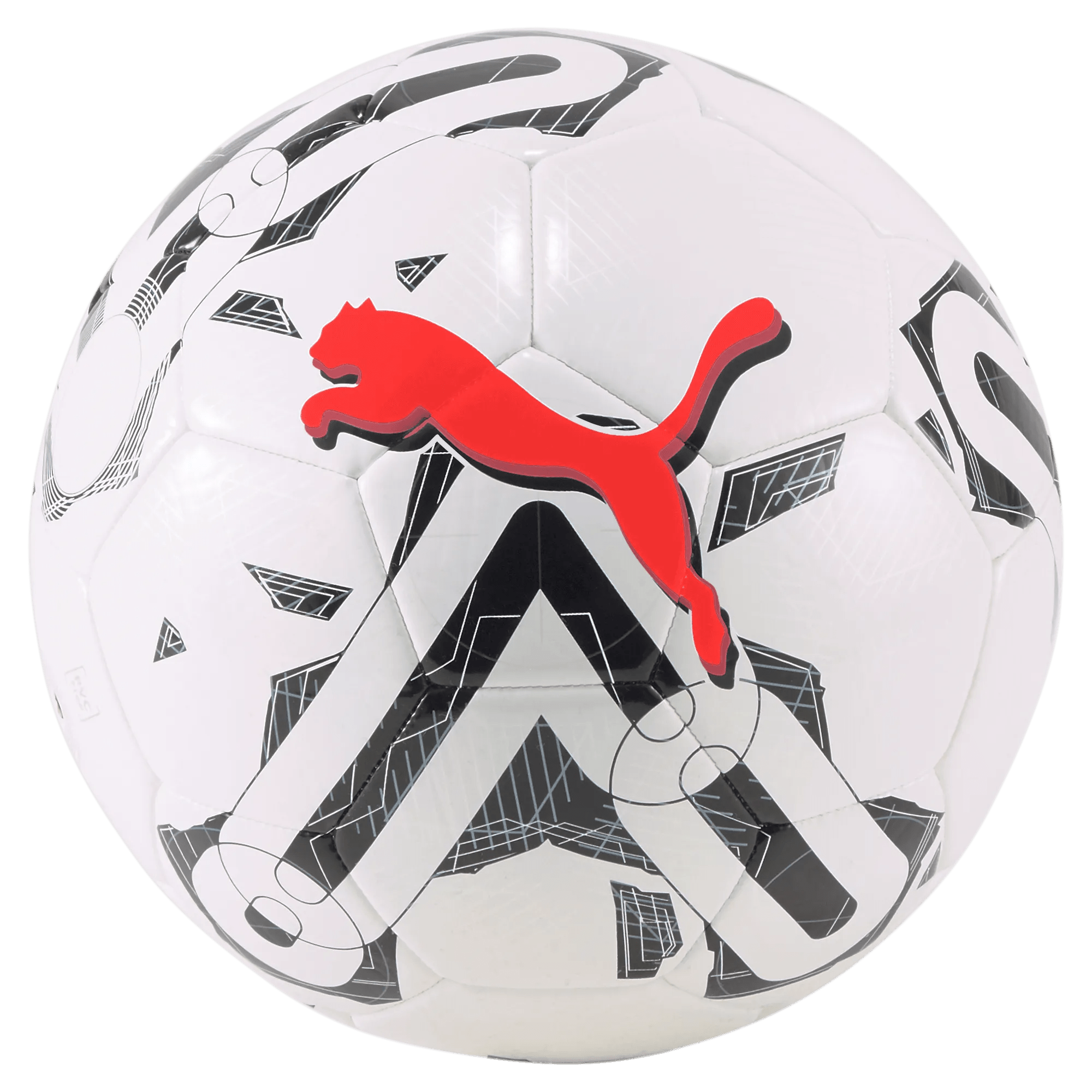 Puma Orbita 6 MS WB Training Ball