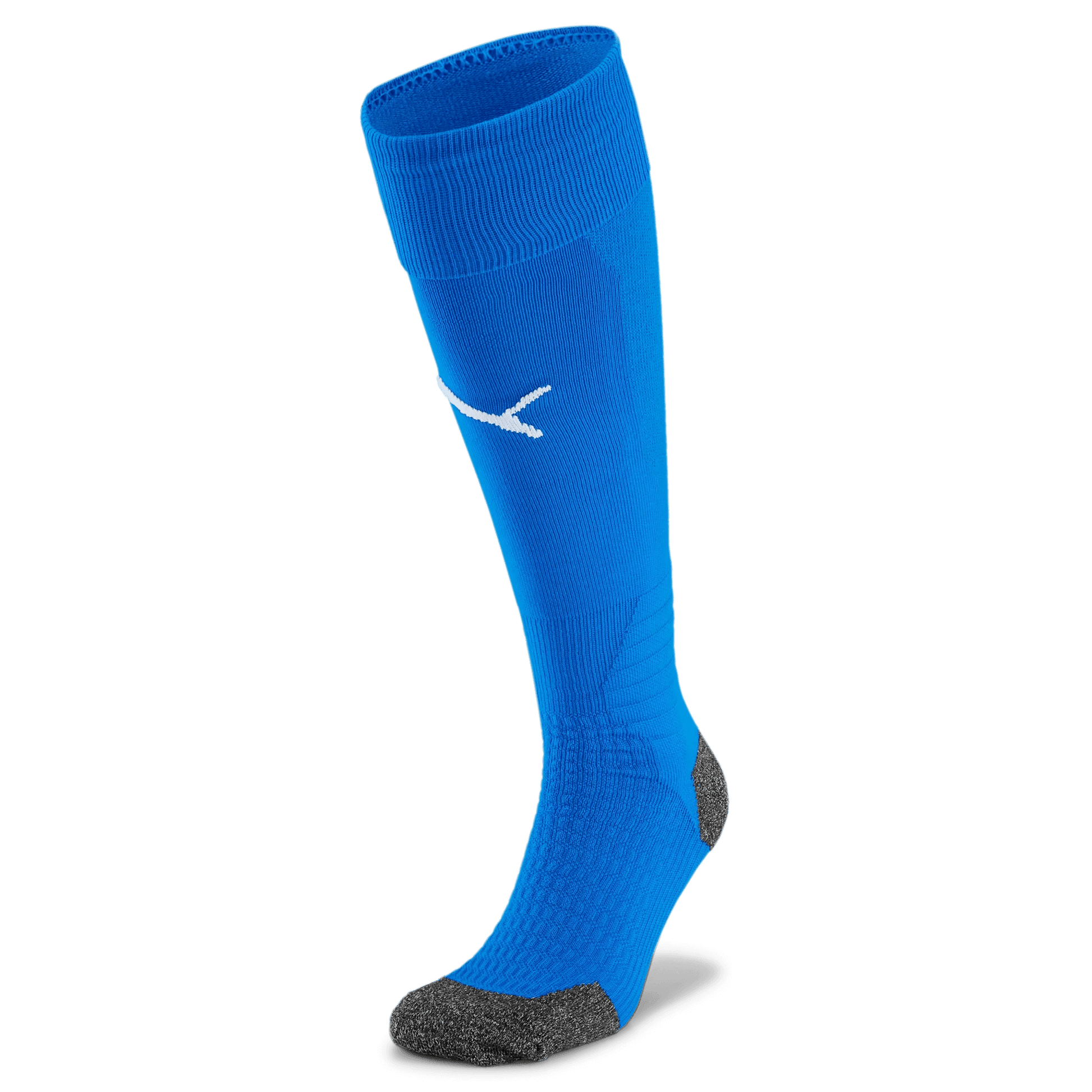 Puma Team Liga Socks Bundle