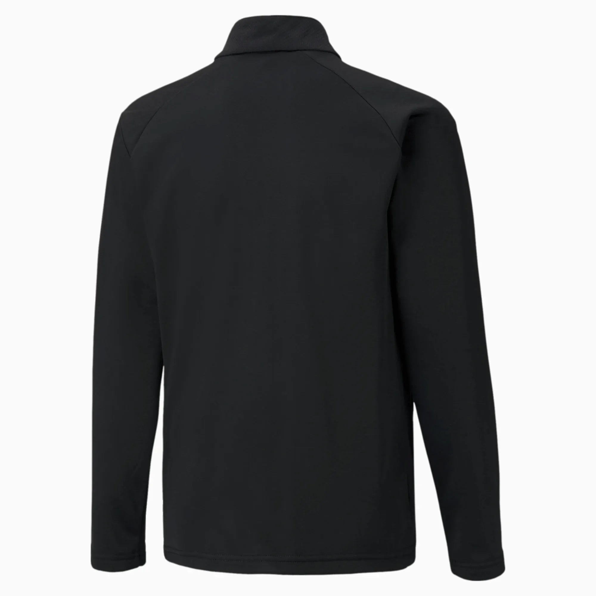 Puma TeamLiga Training jacket Jr - Black - White (Back)