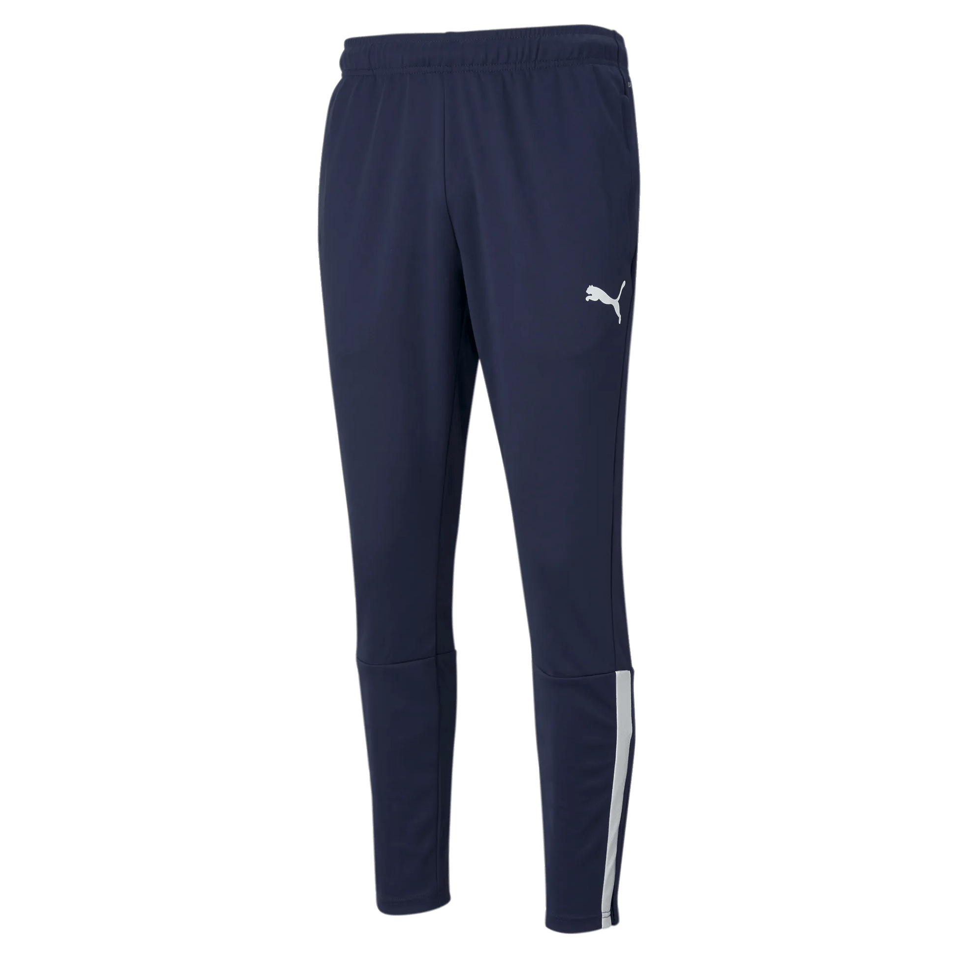 Puma TeamLiga Training Pants (Front)