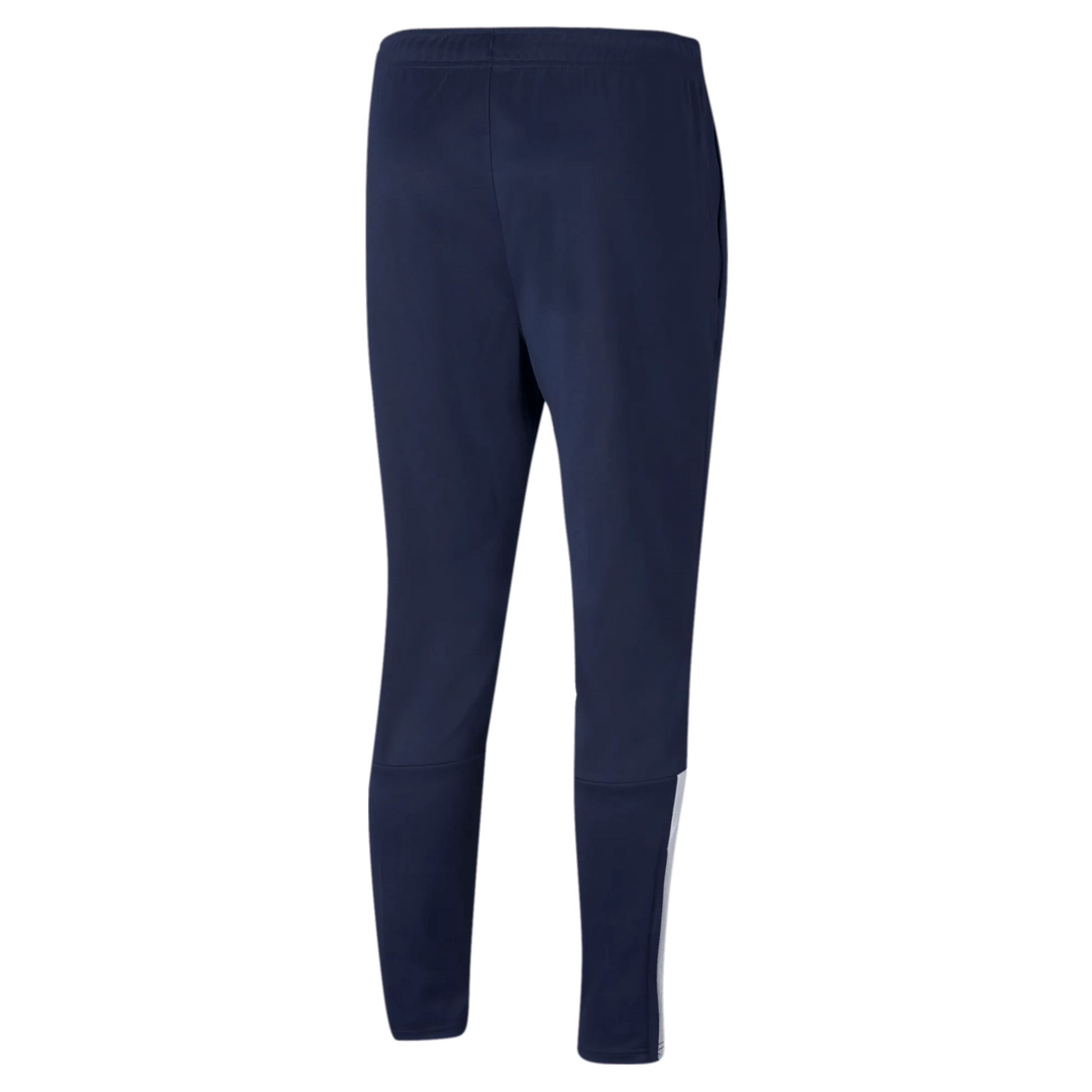 Puma TeamLiga Training Pants (Back)