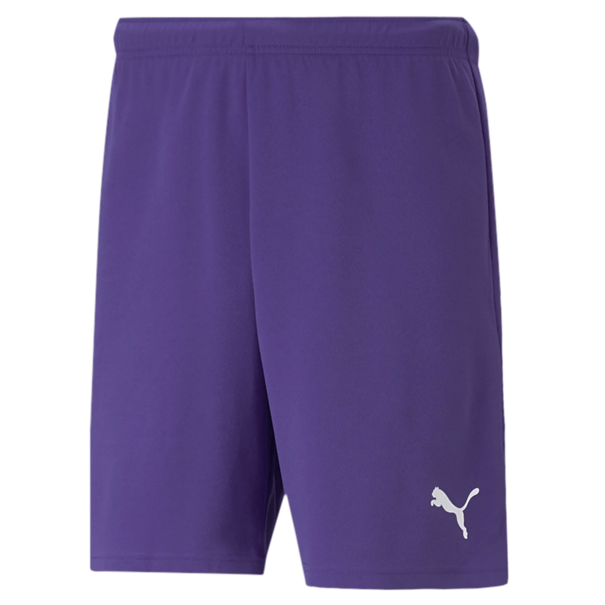 Puma Teamrise Short Purple (Front)